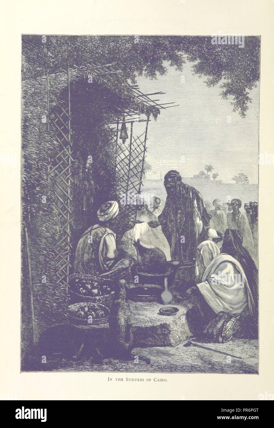 page 14 of '[The Land of the Pharaohs. Egypt and Sinai illustrated by ...