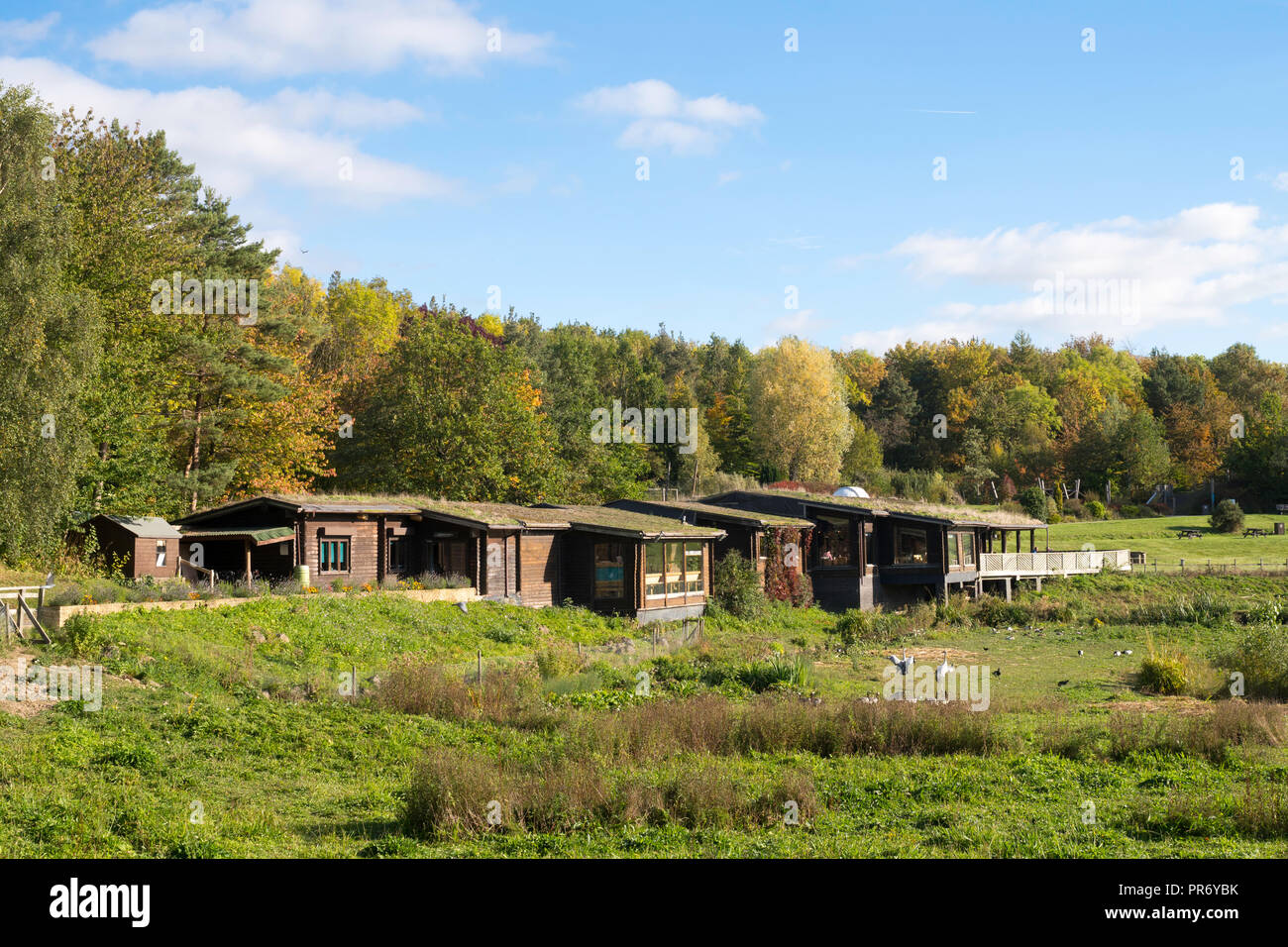 Visitor centre, Washington Wetland Centre, Wildfowl and Wetlands Trust, north east England, UK Stock Photo