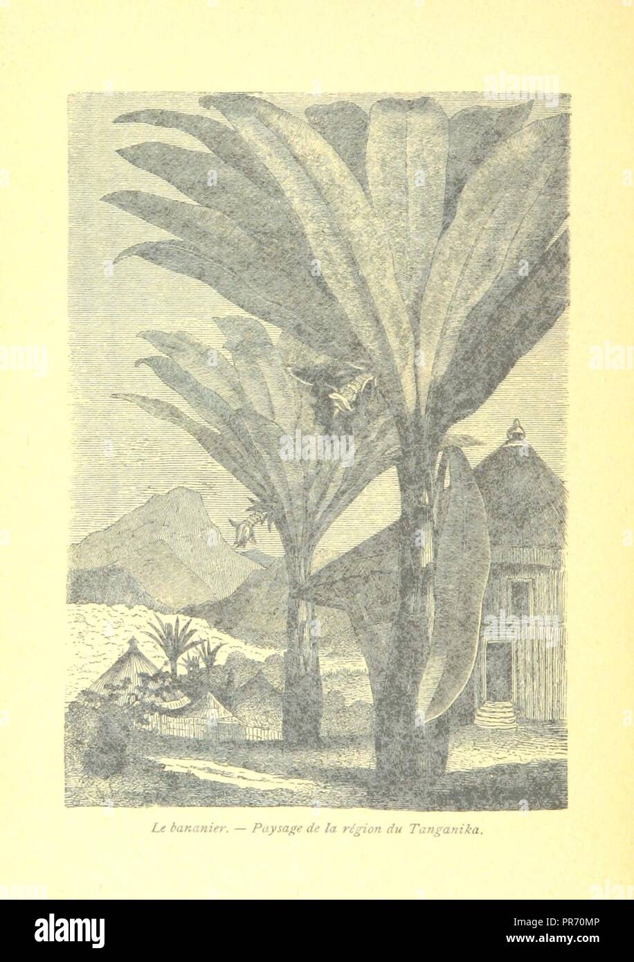Le Congo illustré : voyages et travaux des belges dans l'État