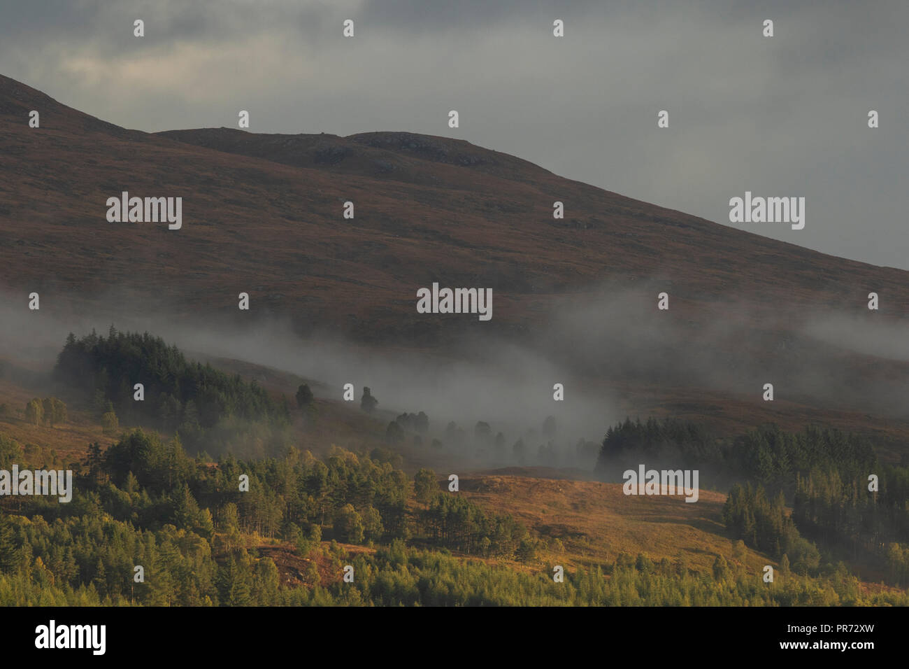 Misty Scottish hillside in Autumn, Scotland UK Stock Photo Alamy