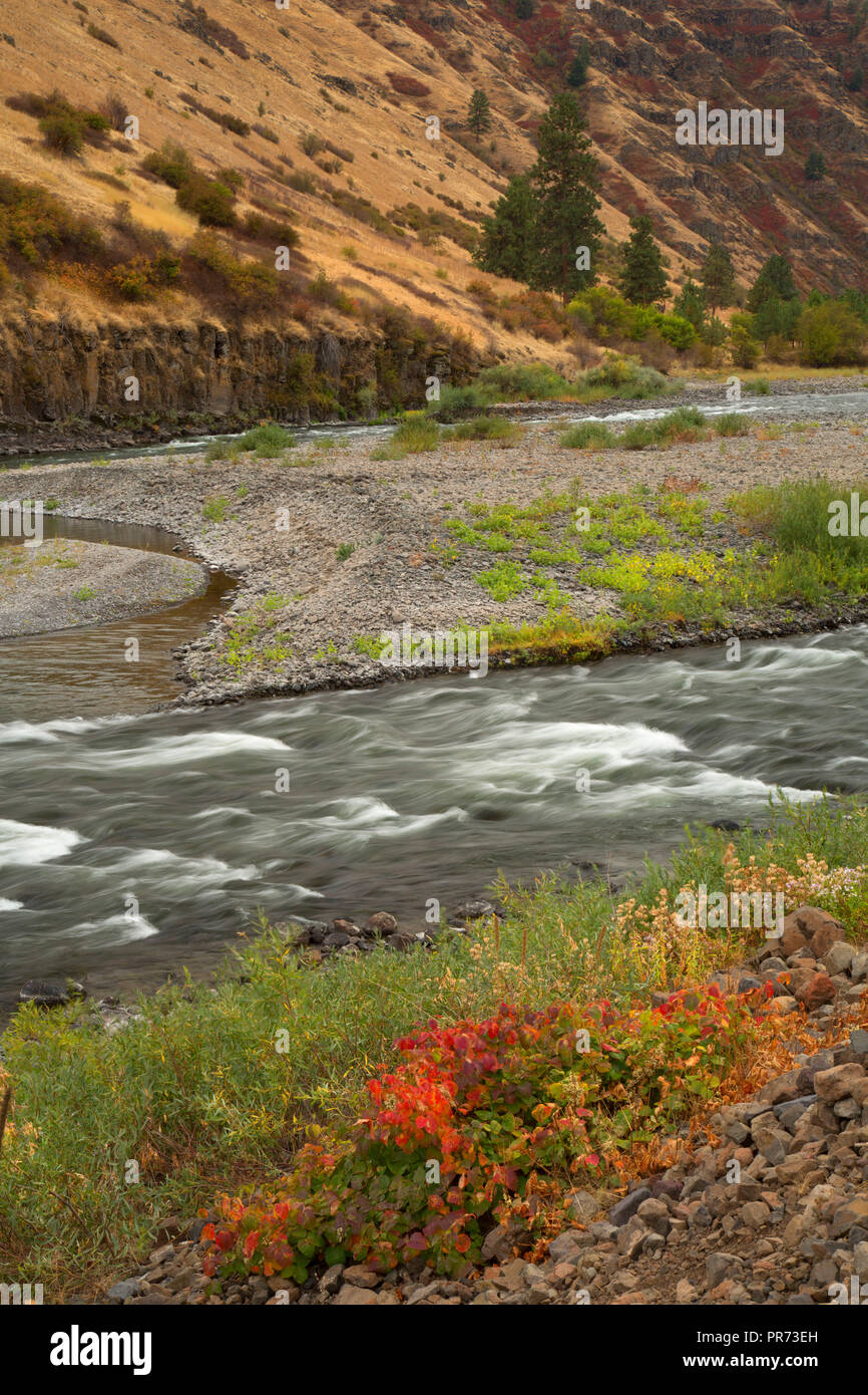Grande Ronde River, Chief Joseph Wildlife Area, 4O Ranch Unit, Asotin