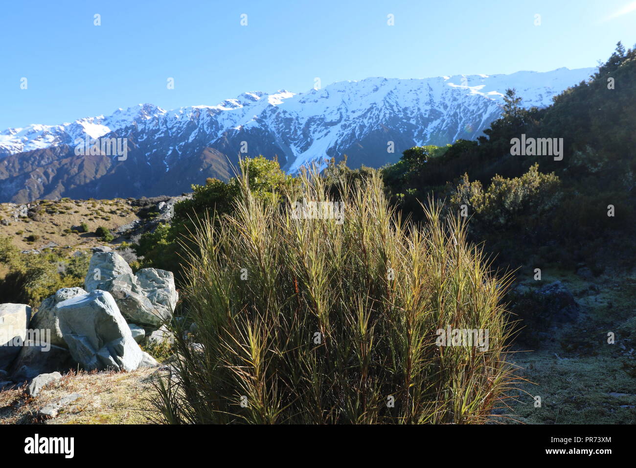 Mount Cook National Park and Hiking the Hooker Valley track, Stock Photo