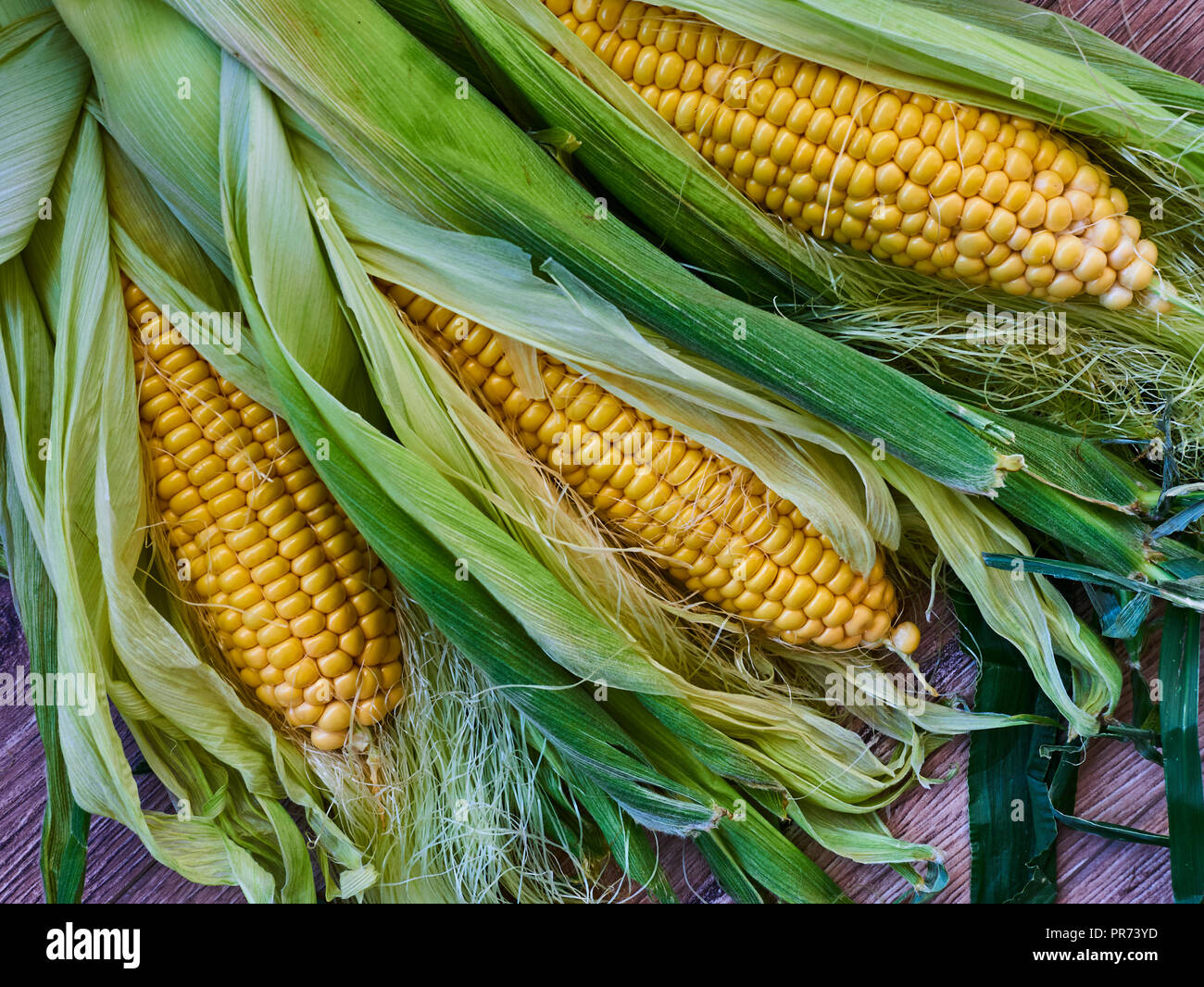 Gmo concept corn hires stock photography and images Alamy