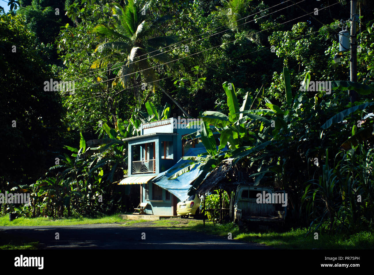 Micronesian house with an abandoned car by the road, Pohnpei, Federated