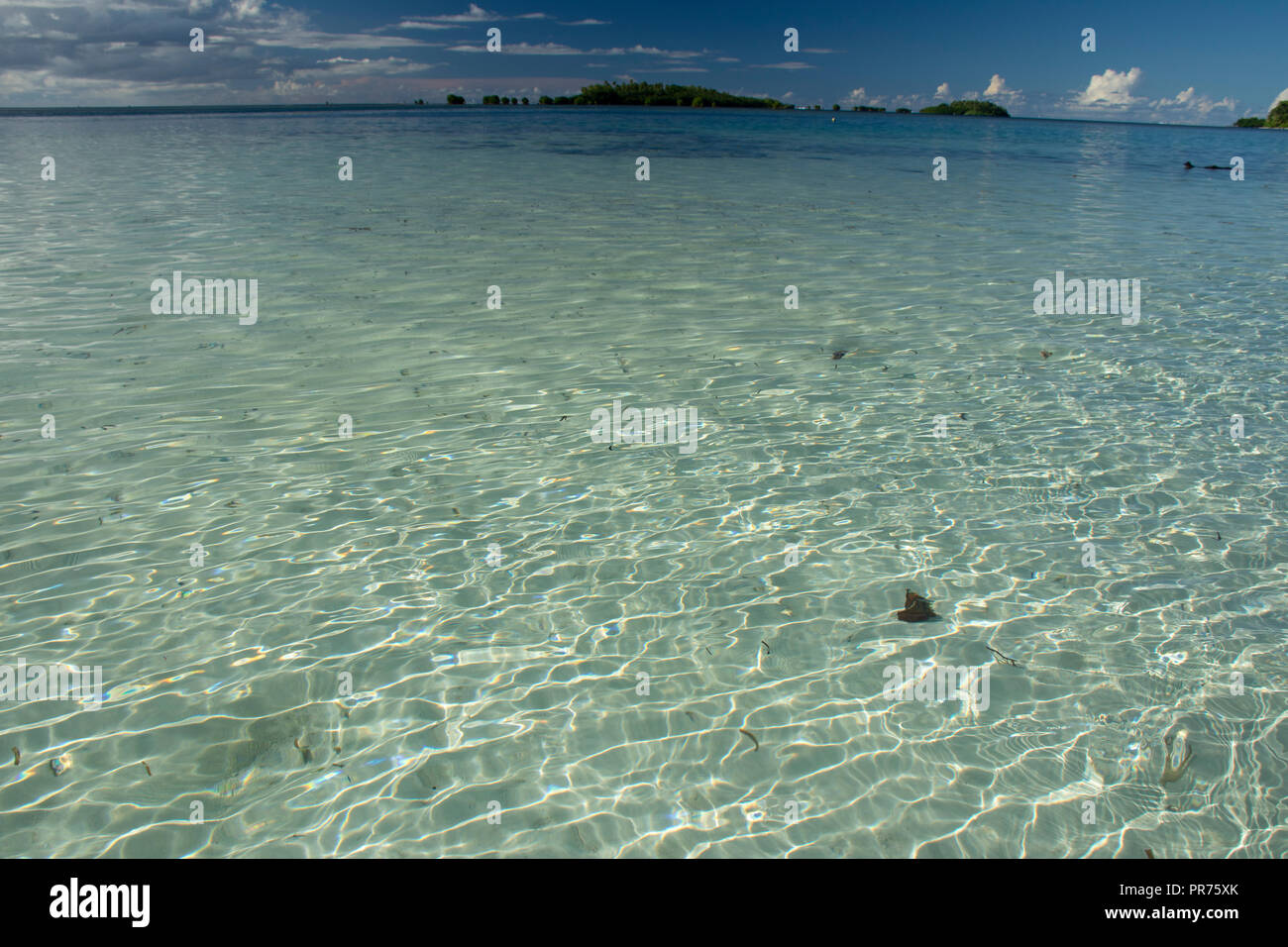 Shallow waters off Na Island, Pohnpei, Federated States of Micronesia Stock Photo