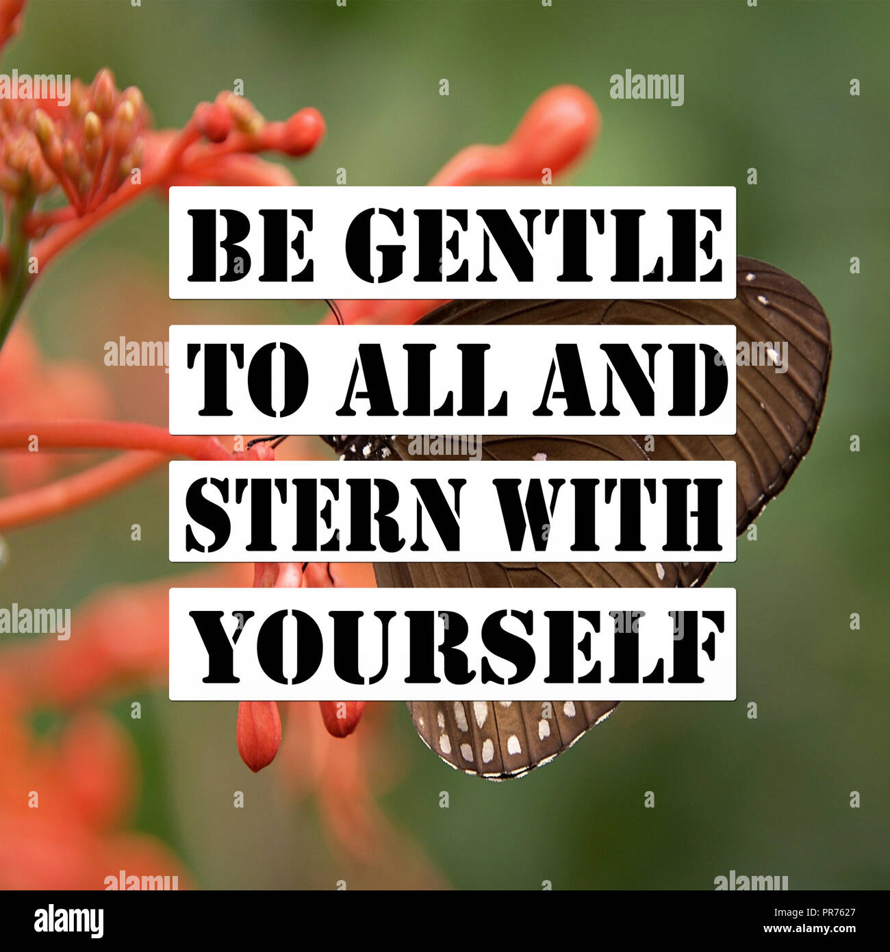Inspirational Quotes Be gentle to all and stern with yourself ...