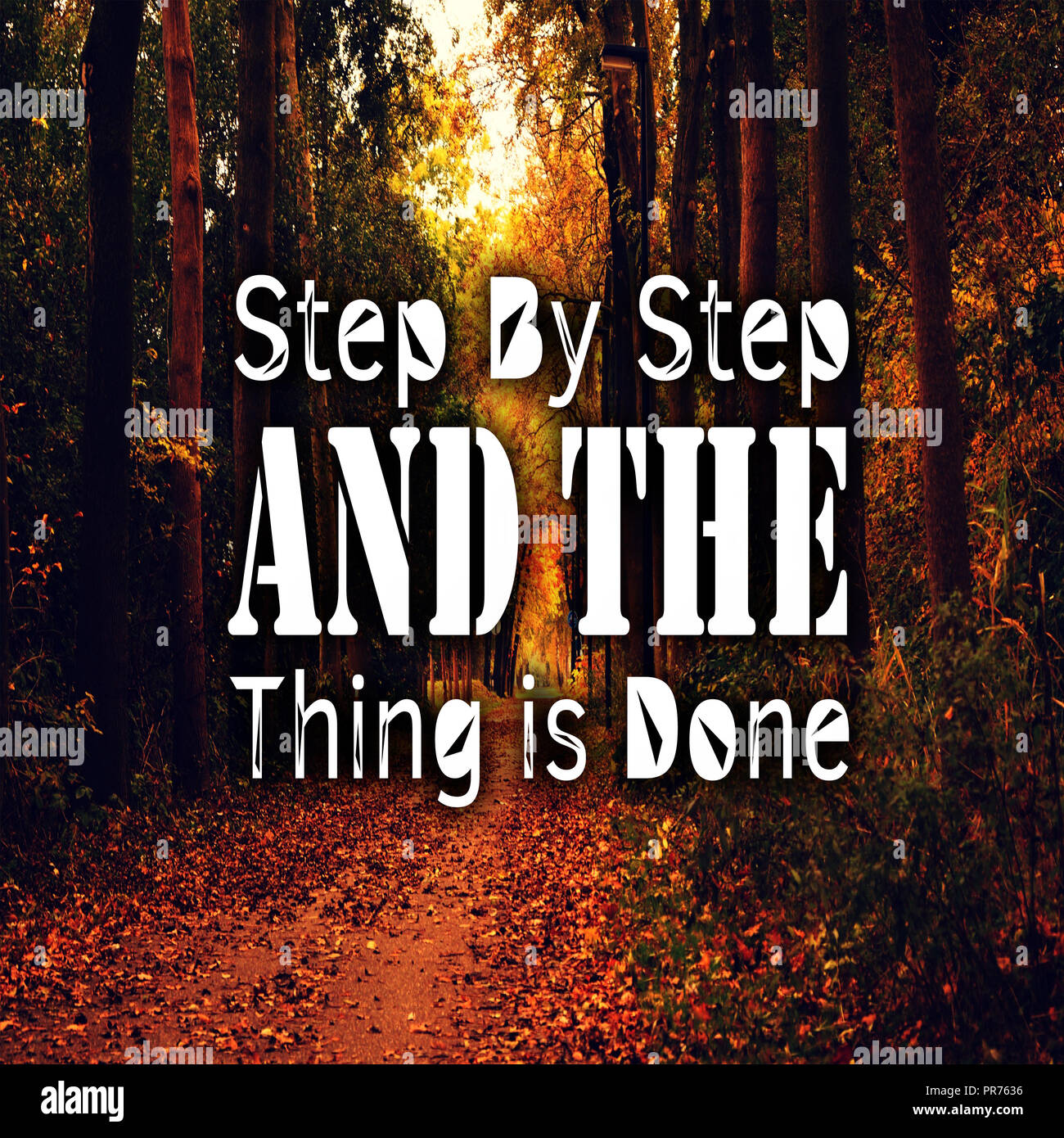 Inspirational Quotes Step by step and the thing is done, positive