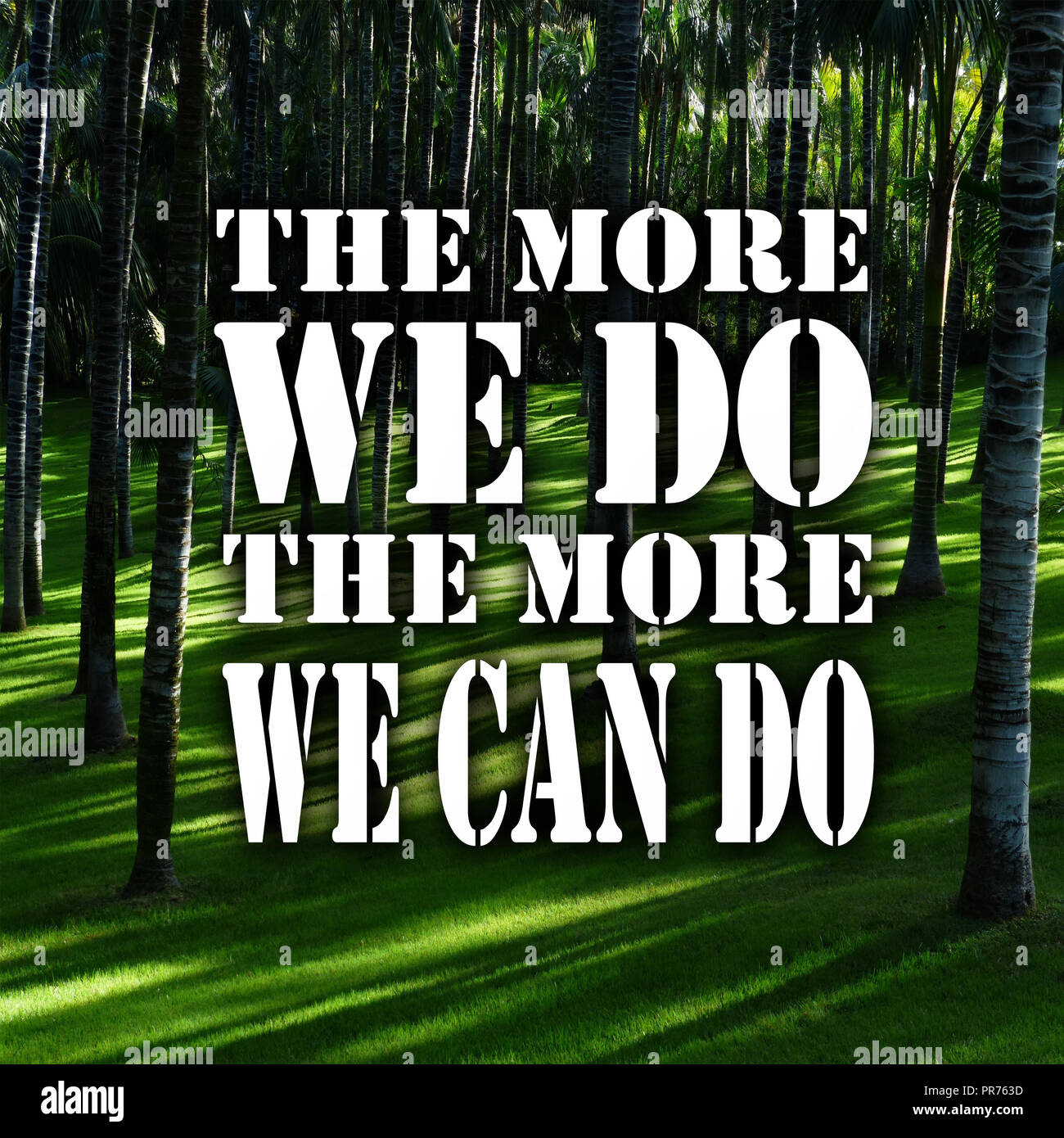 Inspirational Quotes The more we do the more we can do, positive ...