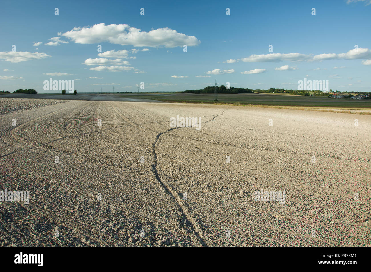 Traces of animals on a plowed field, horizon and blue sky Stock Photo