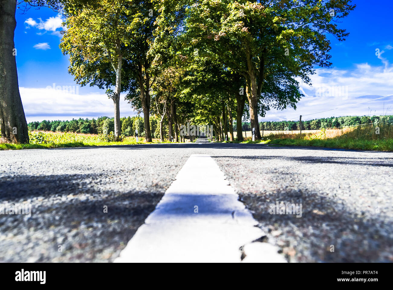 Closeup of entral strip of avenue with trees in Germany Stock Photo
