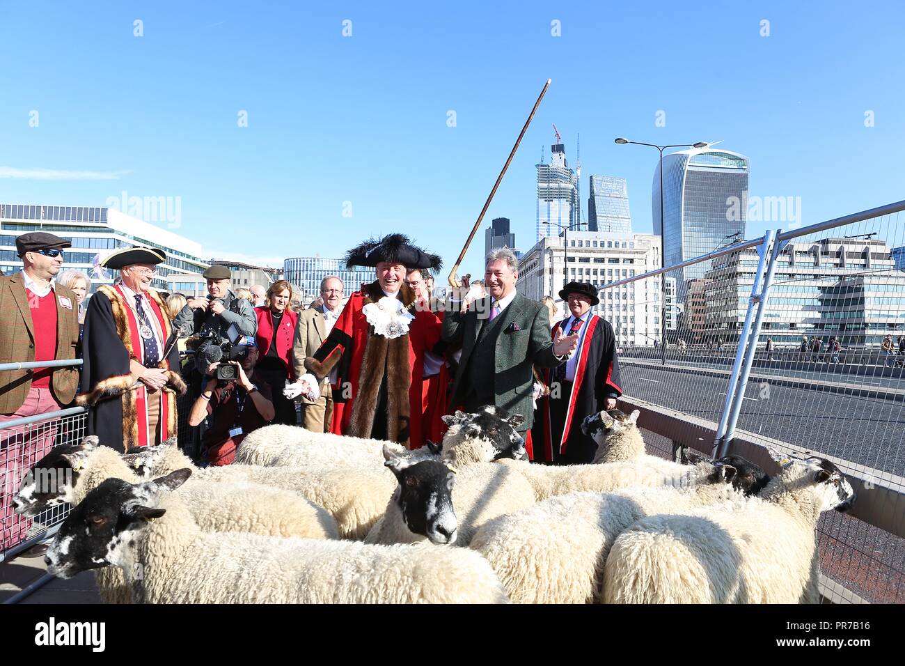 ALAN TITCHMARSH DRIVES SHEEP 2018 Stock Photo - Alamy