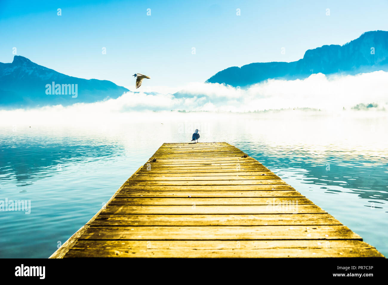 Mondsee austria winter hires stock photography and images Alamy