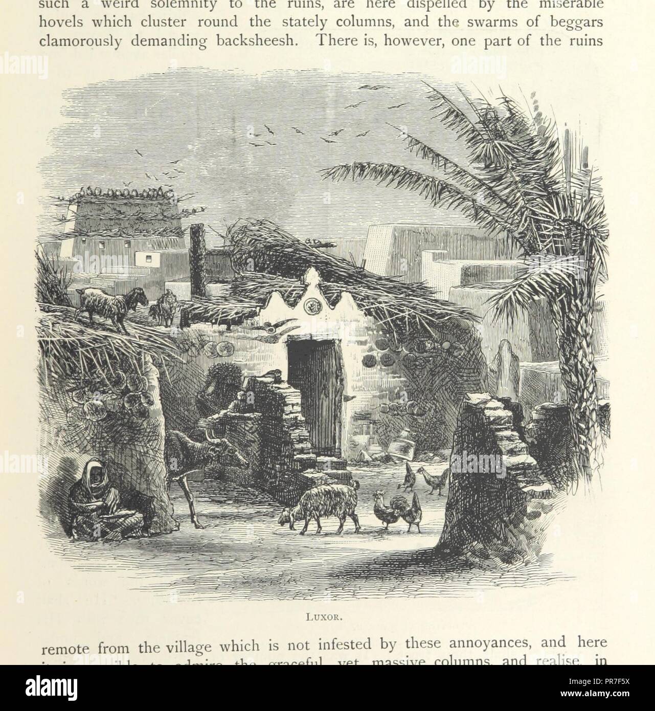 page 125 of '[The Land of the Pharaohs. Egypt and Sinai illustrated by ...
