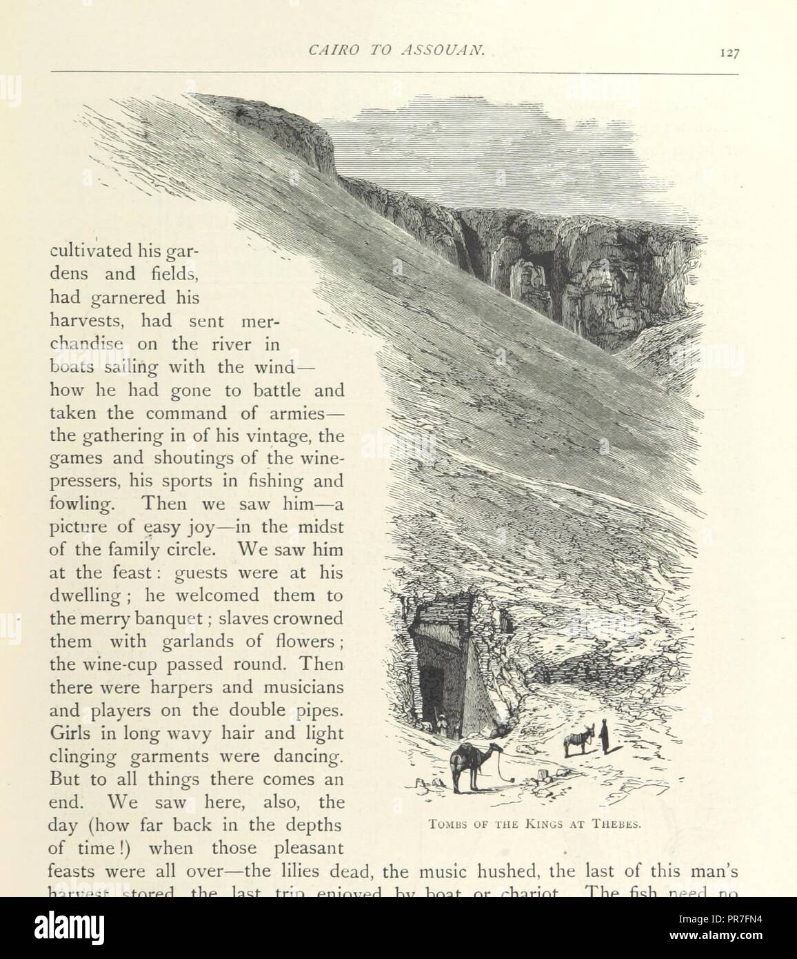 page 133 of '[The Land of the Pharaohs. Egypt and Sinai illustrated by ...