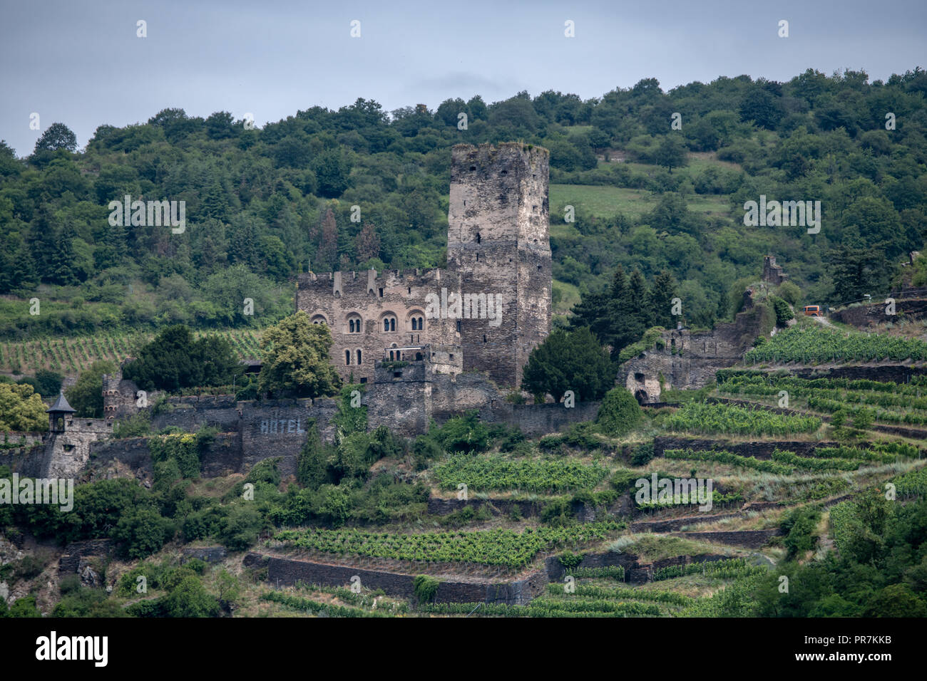 Gutenfels castle (Burg Gutenfels) in Kaub, Germany on the Rhine Stock