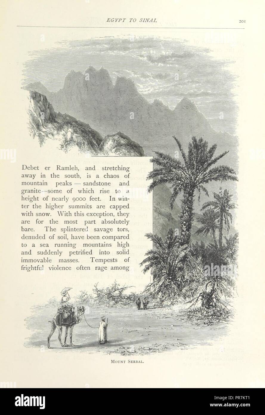 page 207 of '[The Land of the Pharaohs. Egypt and Sinai illustrated by ...