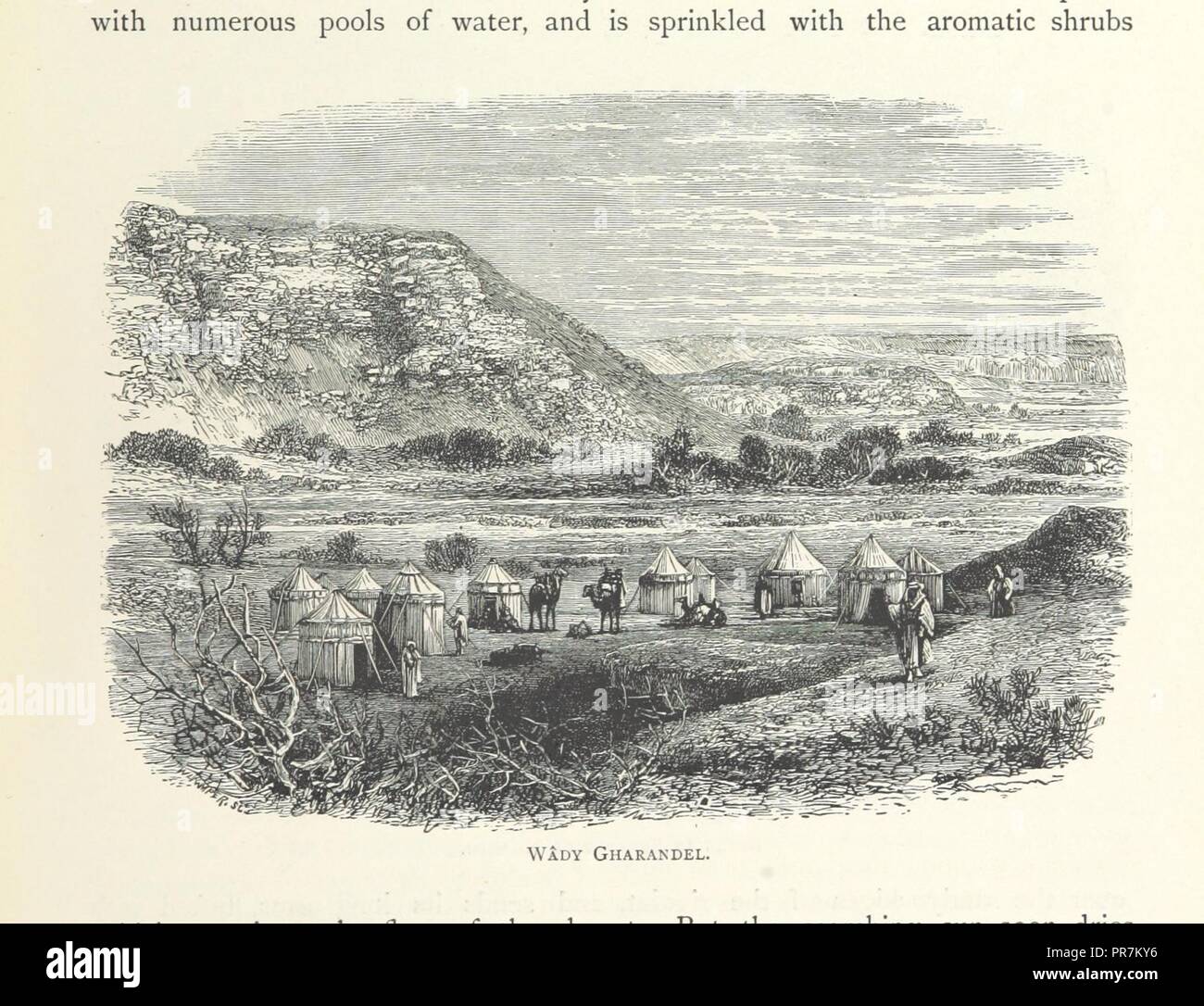 page 209 of '[The Land of the Pharaohs. Egypt and Sinai illustrated by ...