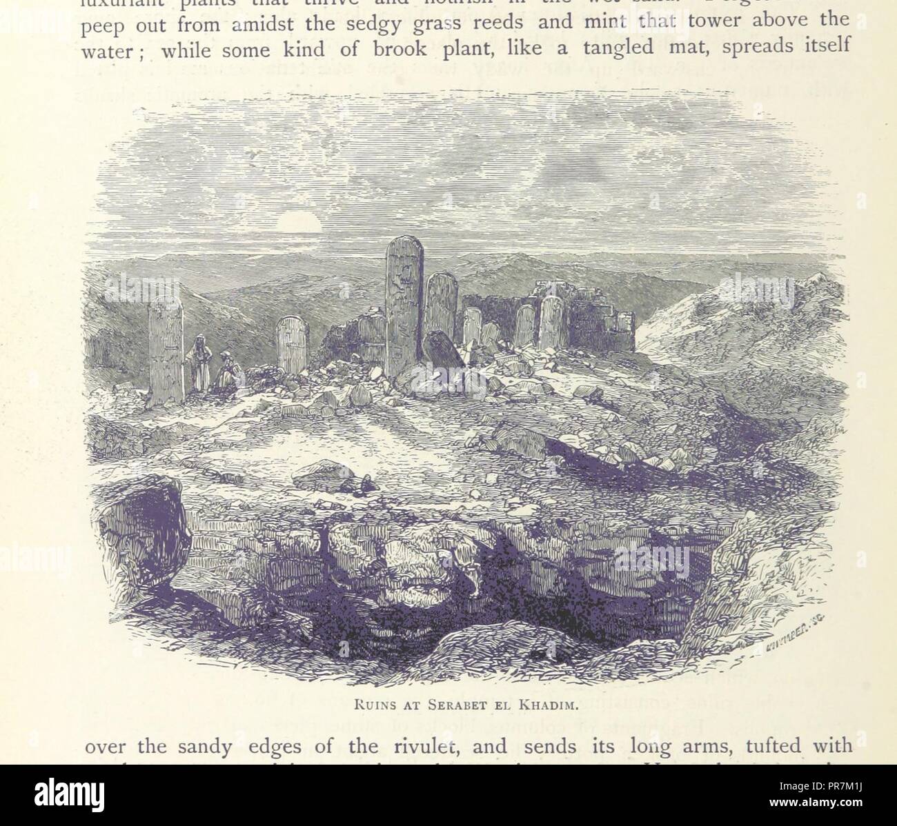 page 210 of '[The Land of the Pharaohs. Egypt and Sinai illustrated by ...