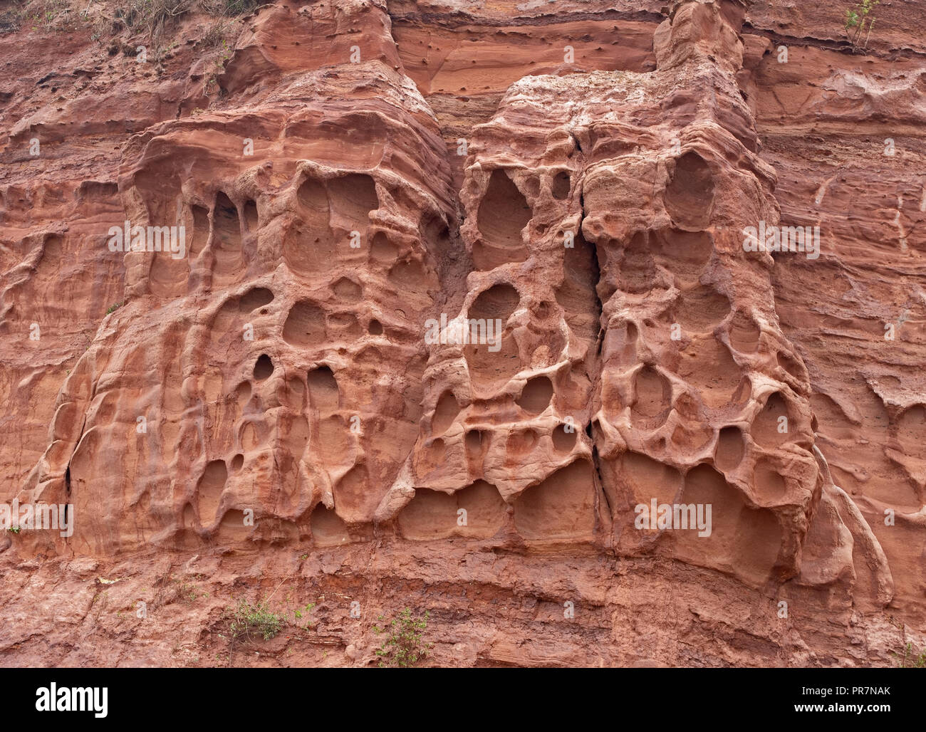 Erosion in the red sandstone coastal cliffs at Budleigh Salterton, Devon, UK. Geology on the Jurassic coast. Stock Photo