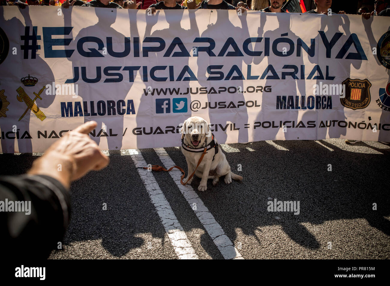 Barcelona, Catalonia, Spain. 29th Sep, 2018. A police dog attends a march by Spanish police in Barcelona. Members and supporters of Spanish police Guardia Civil and Policia Nacional marched by Barcelona streets demanding salary improvements and in tribute to the participation against the Catalan referendum of independence a year ago. Credit: Jordi Boixareu/ZUMA Wire/Alamy Live News Stock Photo