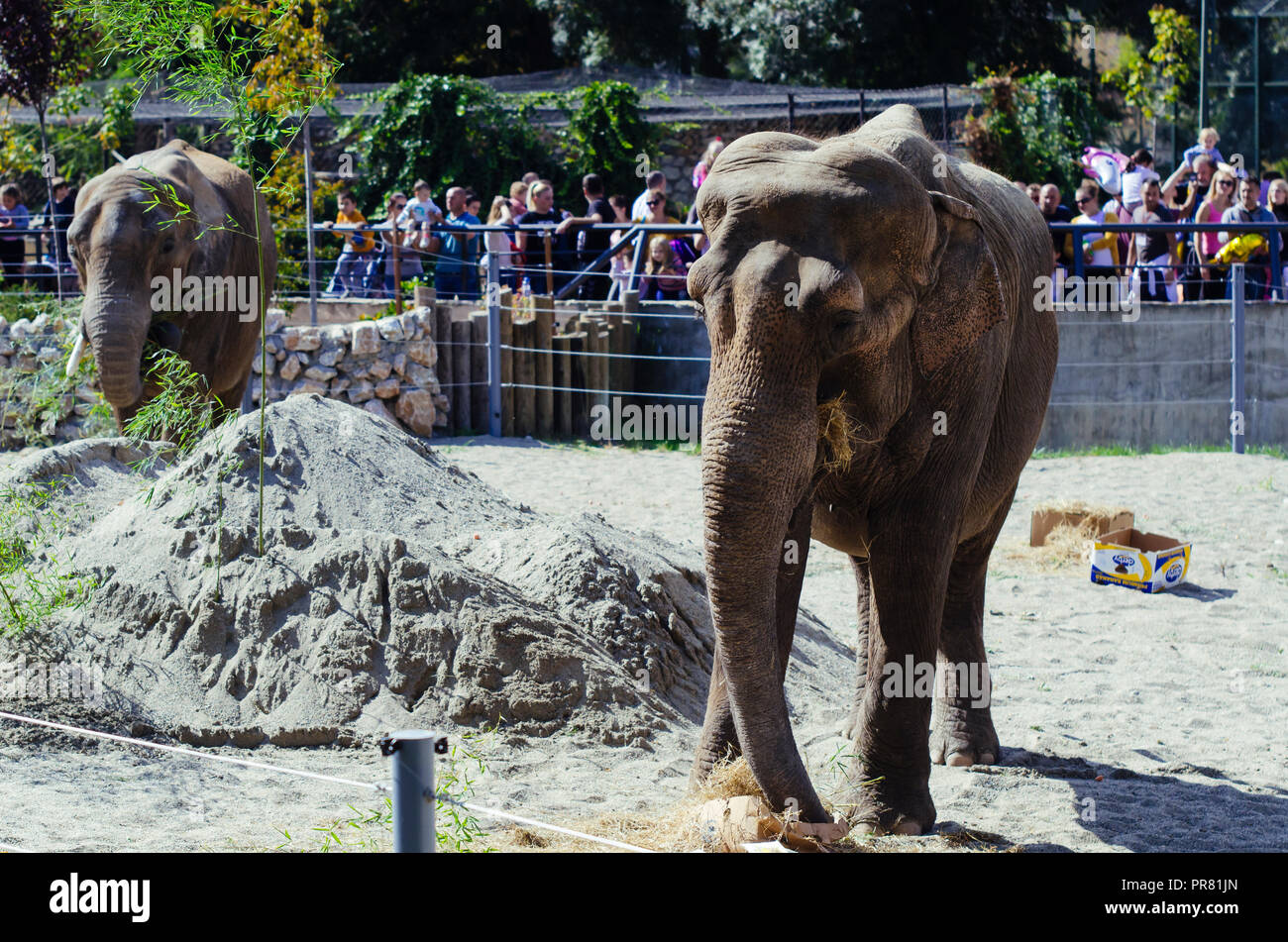 Skopje ZOO, Skopje, R, Macedonia. Septeber 29, 2018 1200 CEST