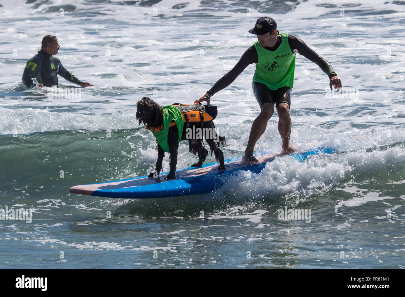 Huntington Beach, CA ,USA.29th September, 2018 dog beach was the