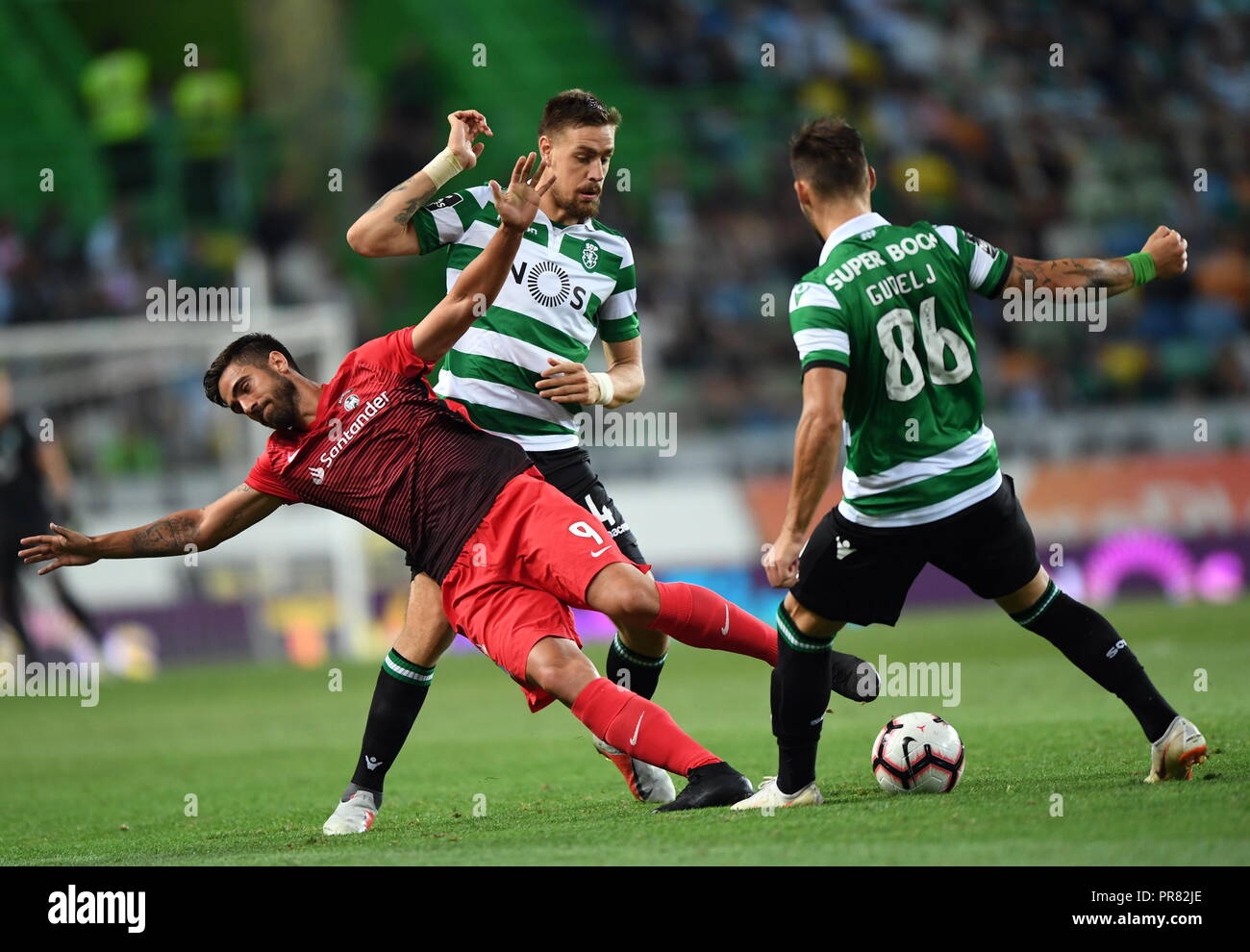 Rodrigo Pinho High Resolution Stock Photography And Images Alamy