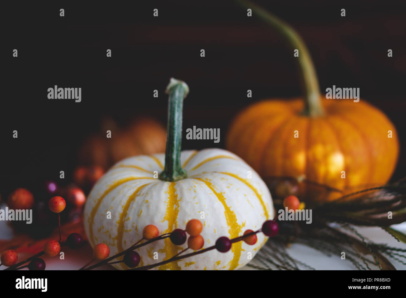 Beautiful pumpkins with fall color foliage and deep brown wood background perfect for autumn imagery. Copy space room for holiday messages. Stock Photo