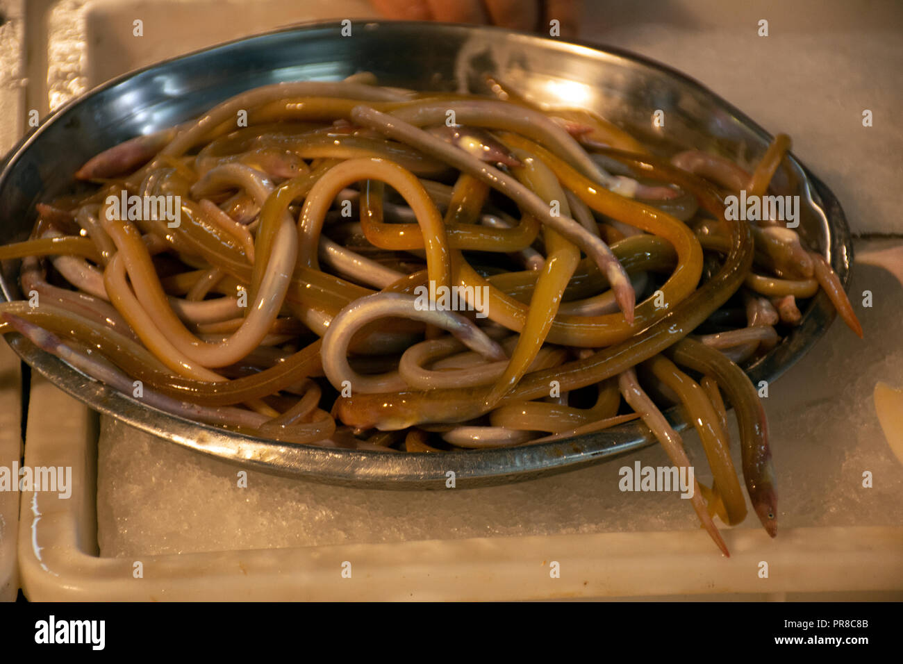 Anguilla japonica eel hires stock photography and images Alamy