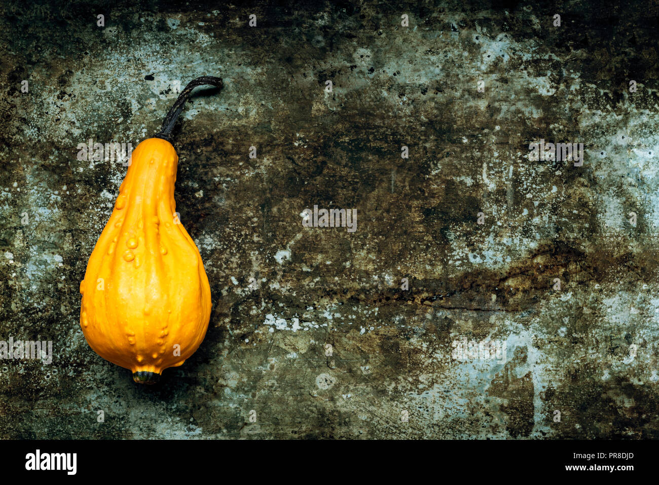 Happy Thanksgiving Background. Orange pumpkin on rustic metal background with copy space. Autumn Harvest and Holiday. Stock Photo