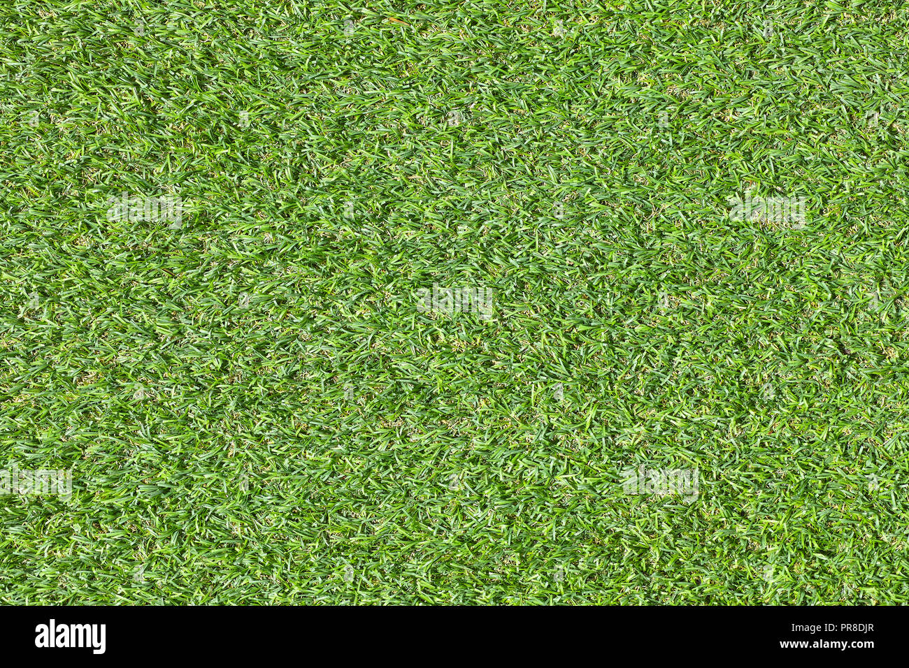 Green grass field texture top view artificial grass use us sport stadium or construction decor natural concept background Stock Photo