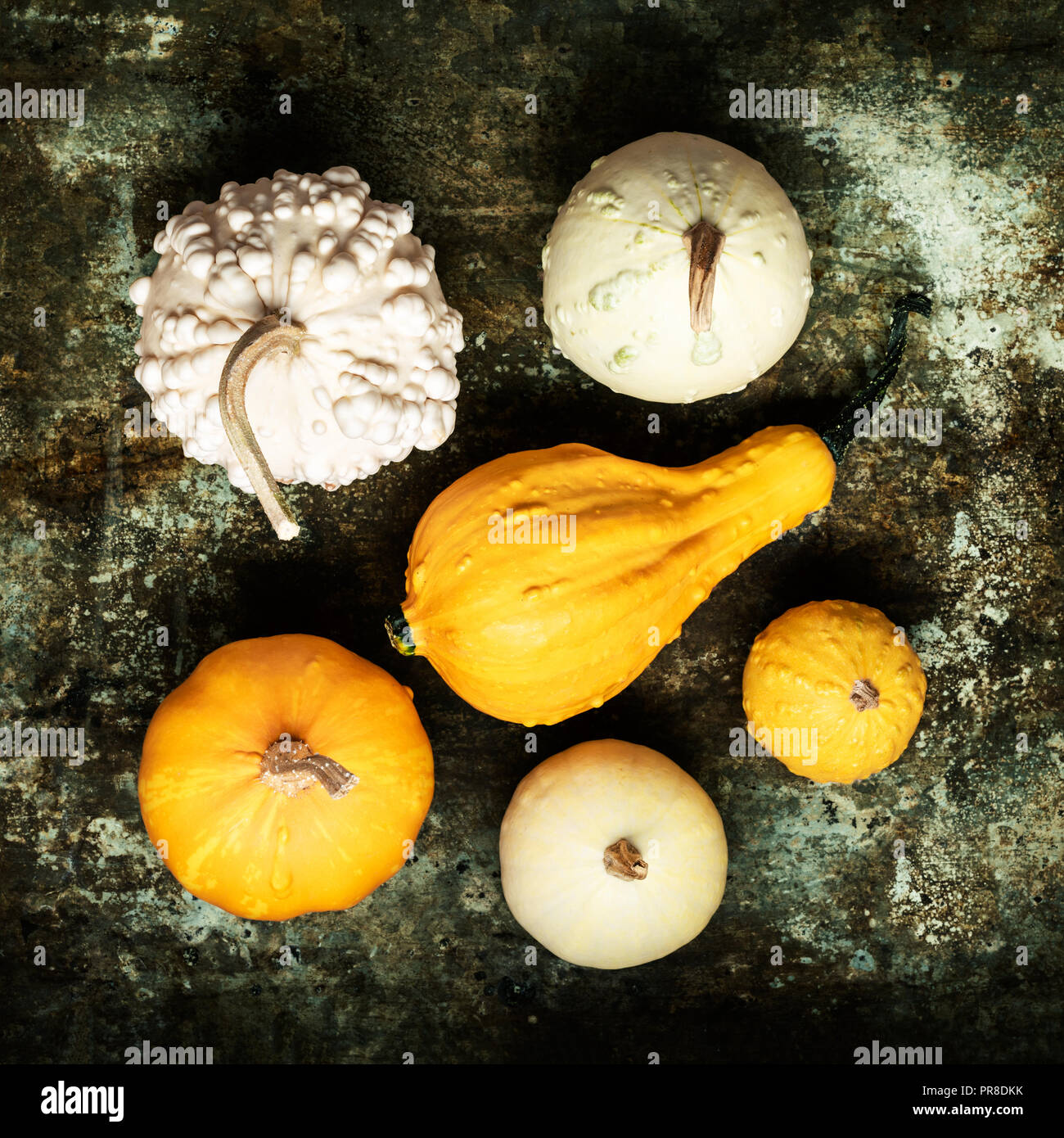Happy Thanksgiving Background. Selection of various pumpkins on rustic metal background. Autumn vegetables and seasonal decorations concept. Autumn Ha Stock Photo