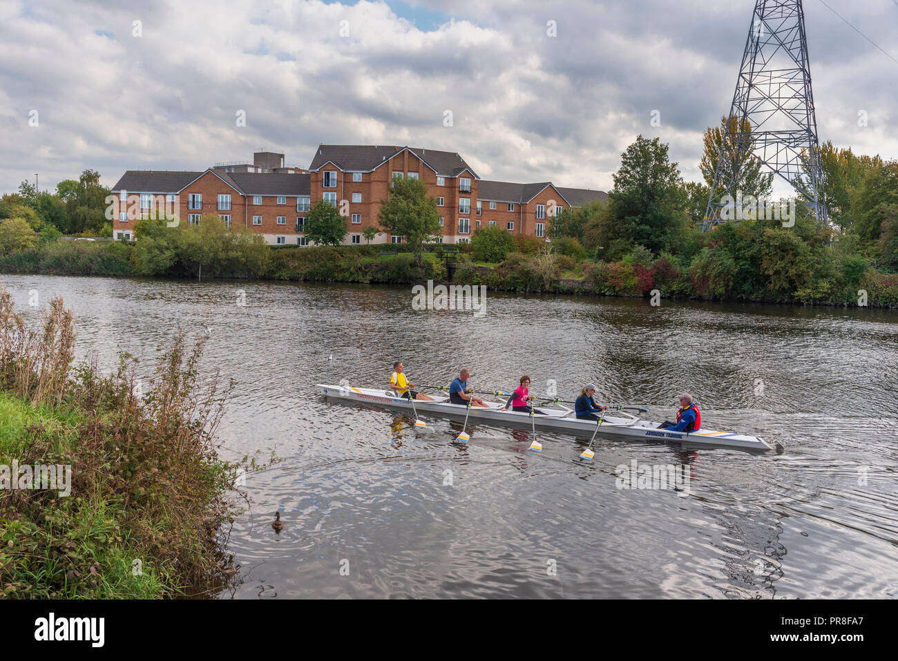 River Mersey at Latchford, Warrington. Rowers Stock Photo Alamy