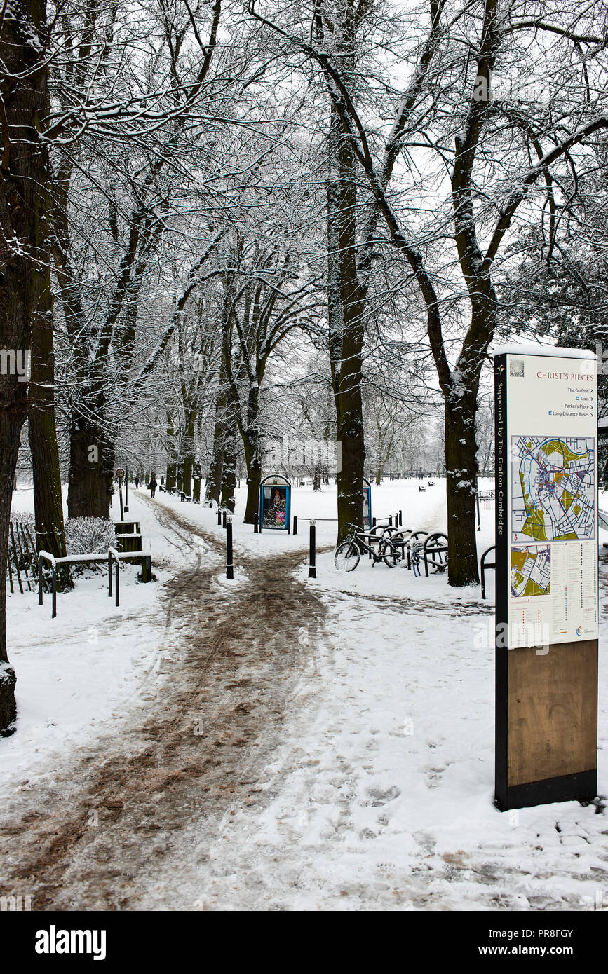 Winter Scene in Cambridge - Christ's Pieces. Visitor map of the city centre and avenue of trees lining footpath through the gardens. Stock Photo