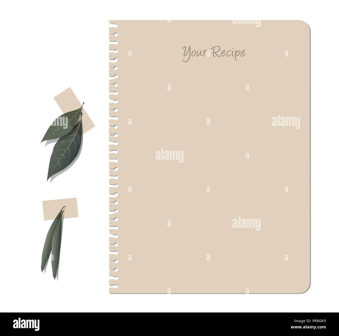 Recipes notebook. Laurel and olive leaves Stock Vector
