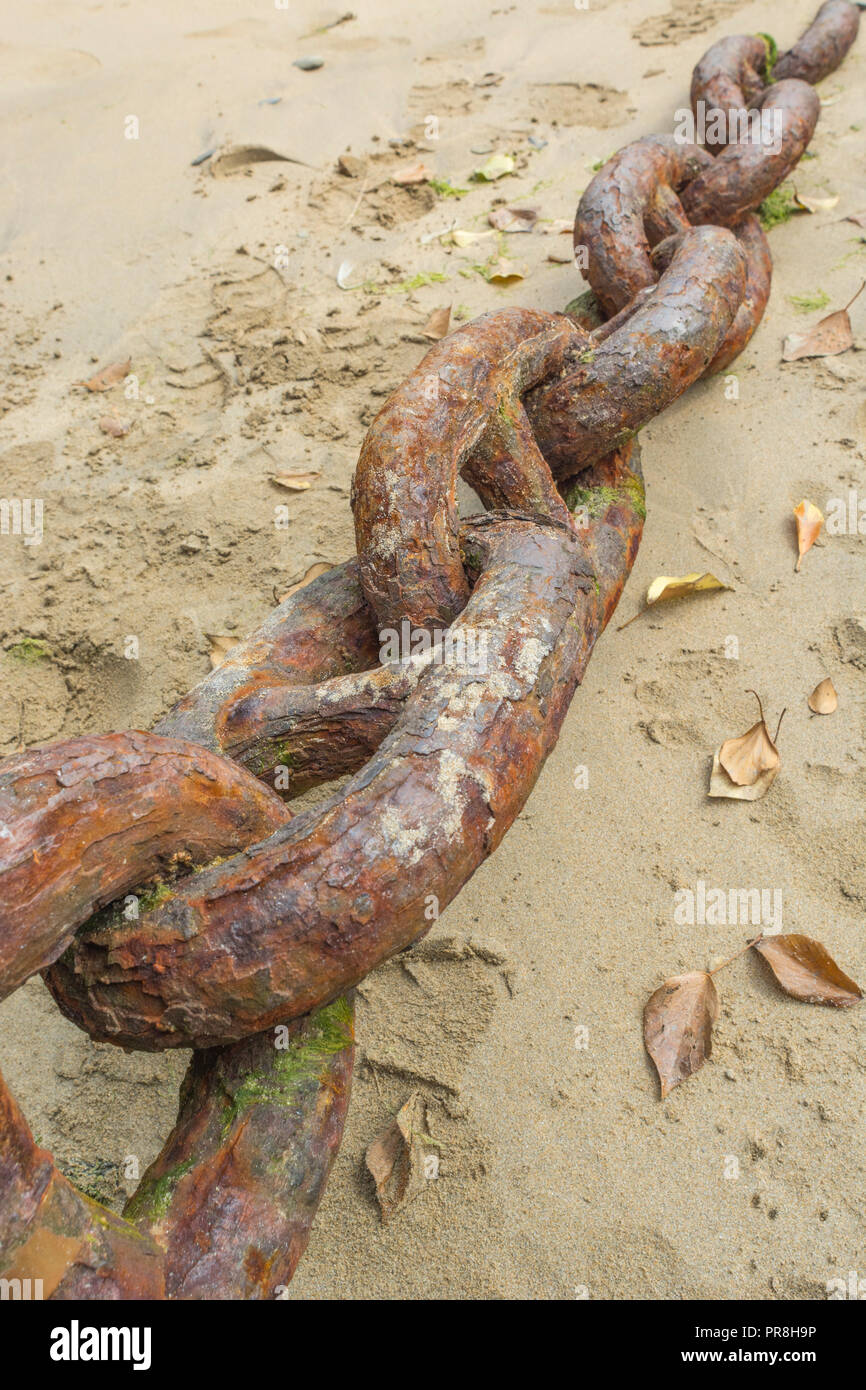 Harbour scenes around Newquay, Cornwall. Very large rusting mooring chain links. Metaphor strong links, strongest link, forge links, close ties. Stock Photo