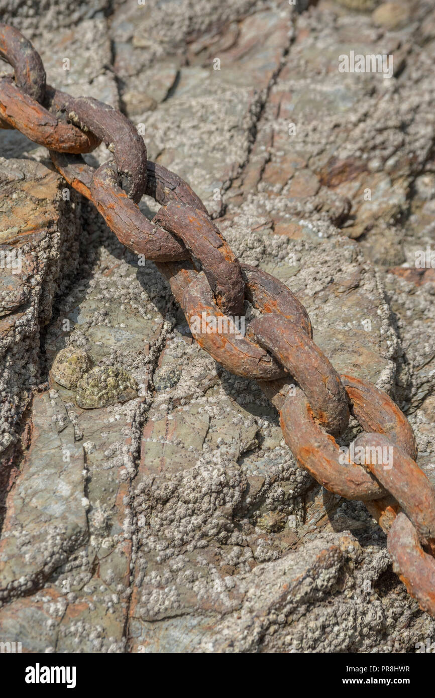 Harbour scenes around Newquay, Cornwall. Rusting mooring chain links. Metaphor strong links, strongest link, forge links, close ties. Stock Photo