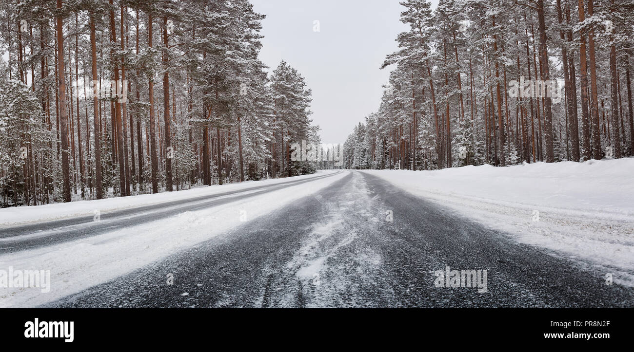 Morning after snowfall hi-res stock photography and images - Alamy