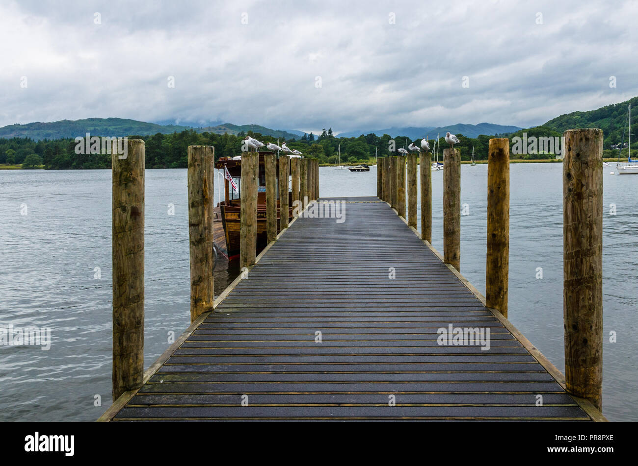 Birds perched on the Ambleside Pier by Lake Windermere in the Lake District, Cumbria, England Stock Photo