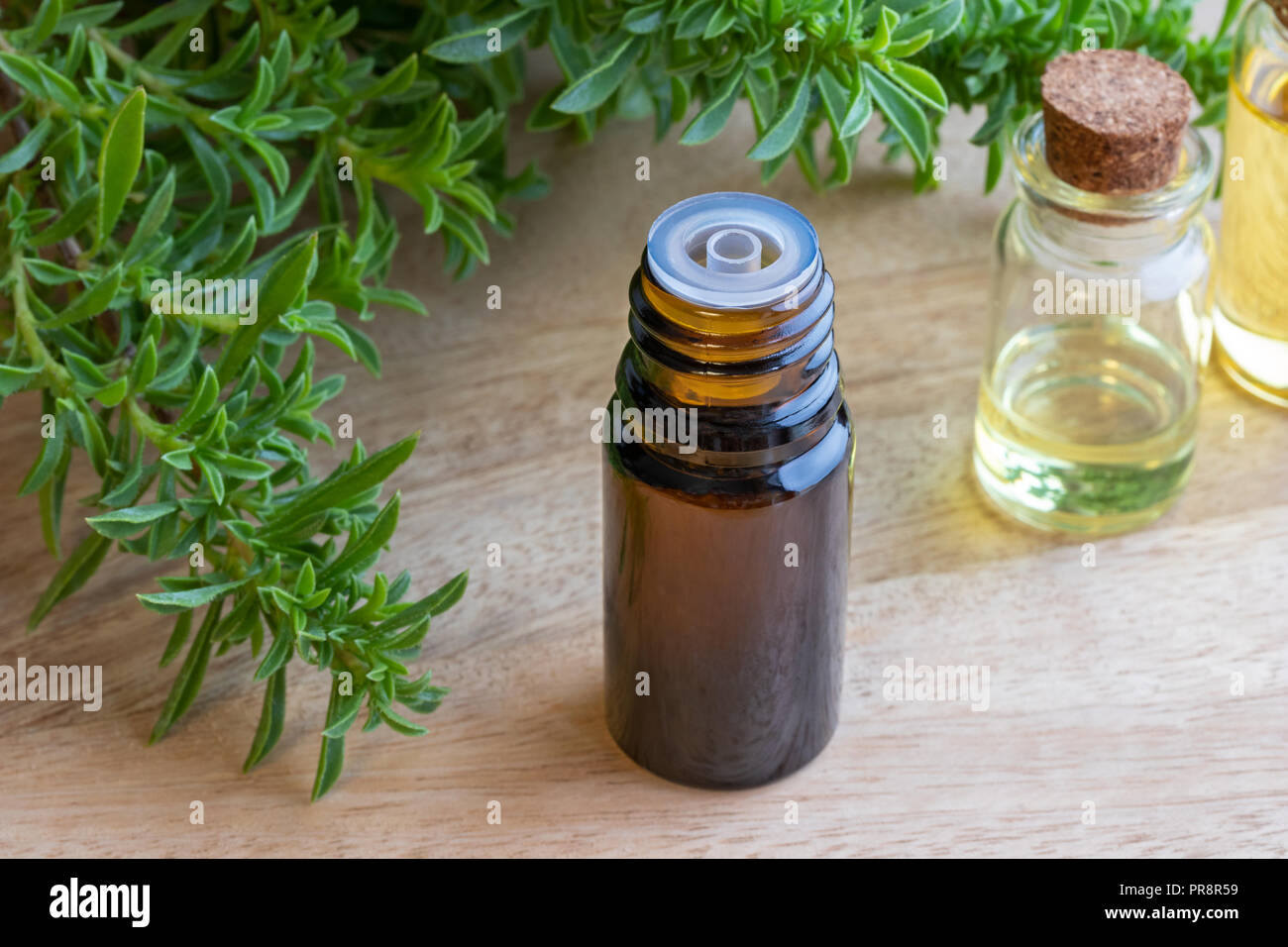 A bottle of mountain savory essential oil with fresh Satureja montana plant Stock Photo