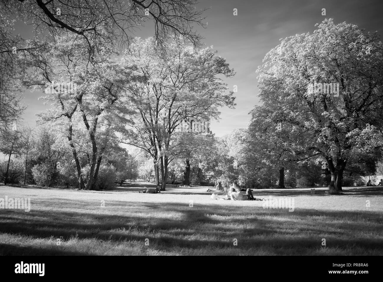 IR BW image of people taking a rest under trees on grass in a park  at Vysehrad in Prague, Czech Republic. Indian summer Stock Photo