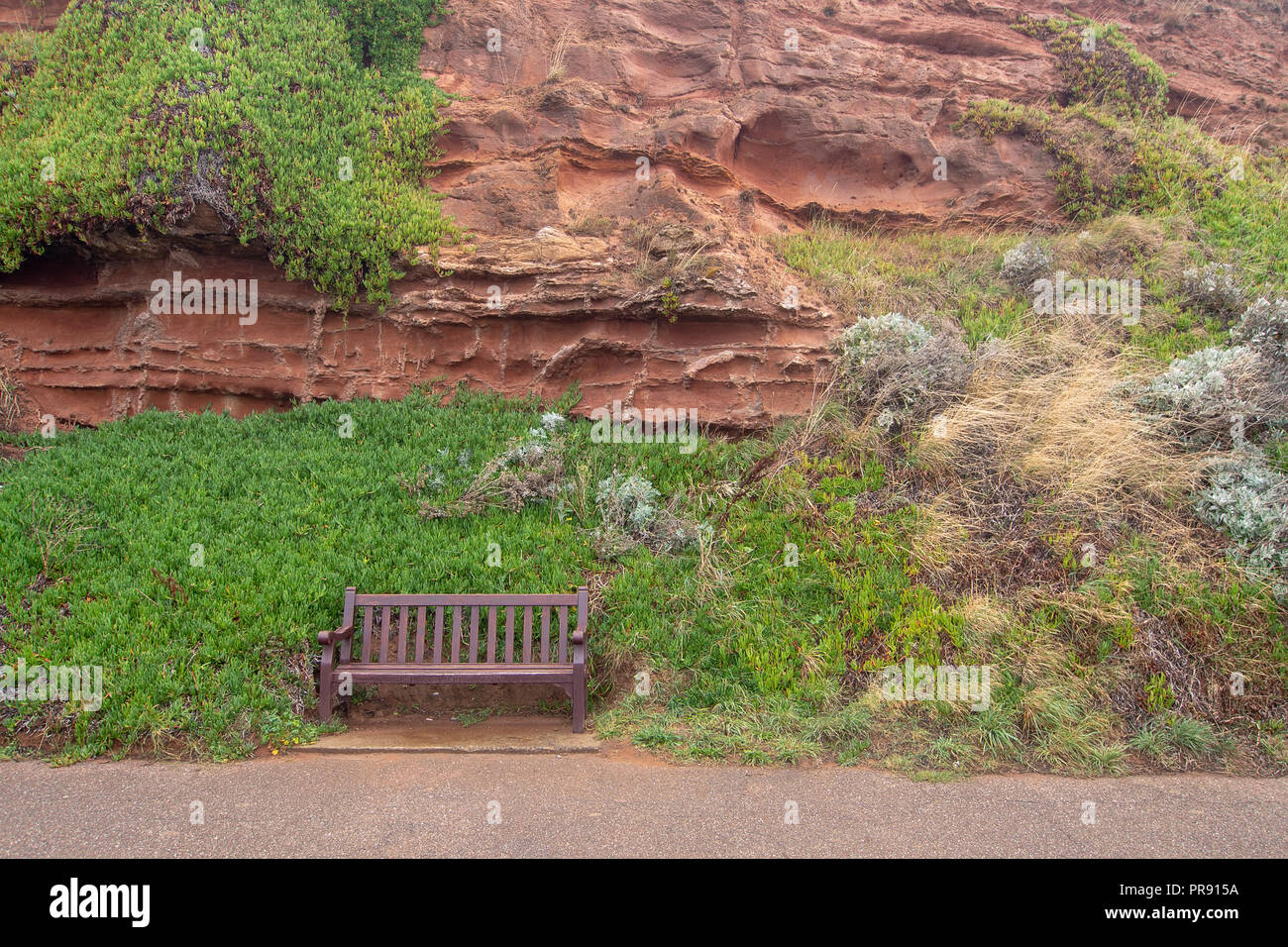 Erosion and fossilised roots in the red sandstone coastal cliffs at Budleigh Salterton, Devon, UK. Stock Photo