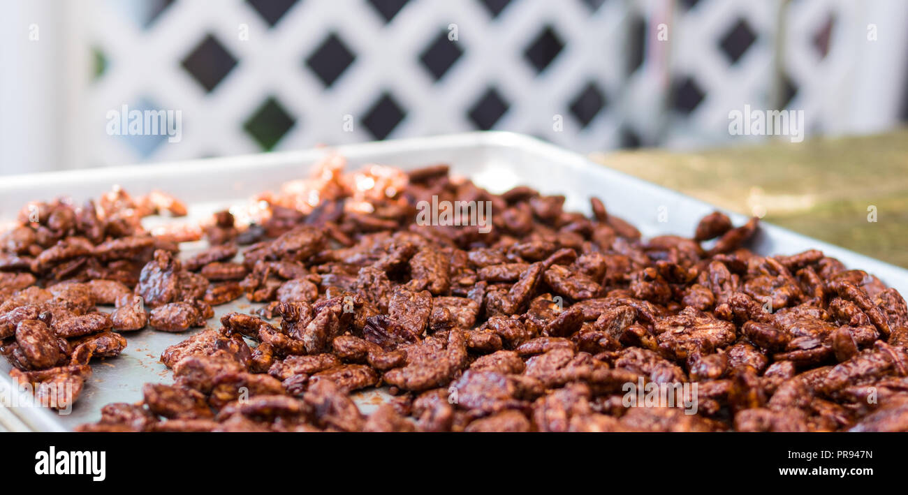 Fresh sugar glazed cinnamon roasted pecans on a metal cookie sheet. Stock Photo