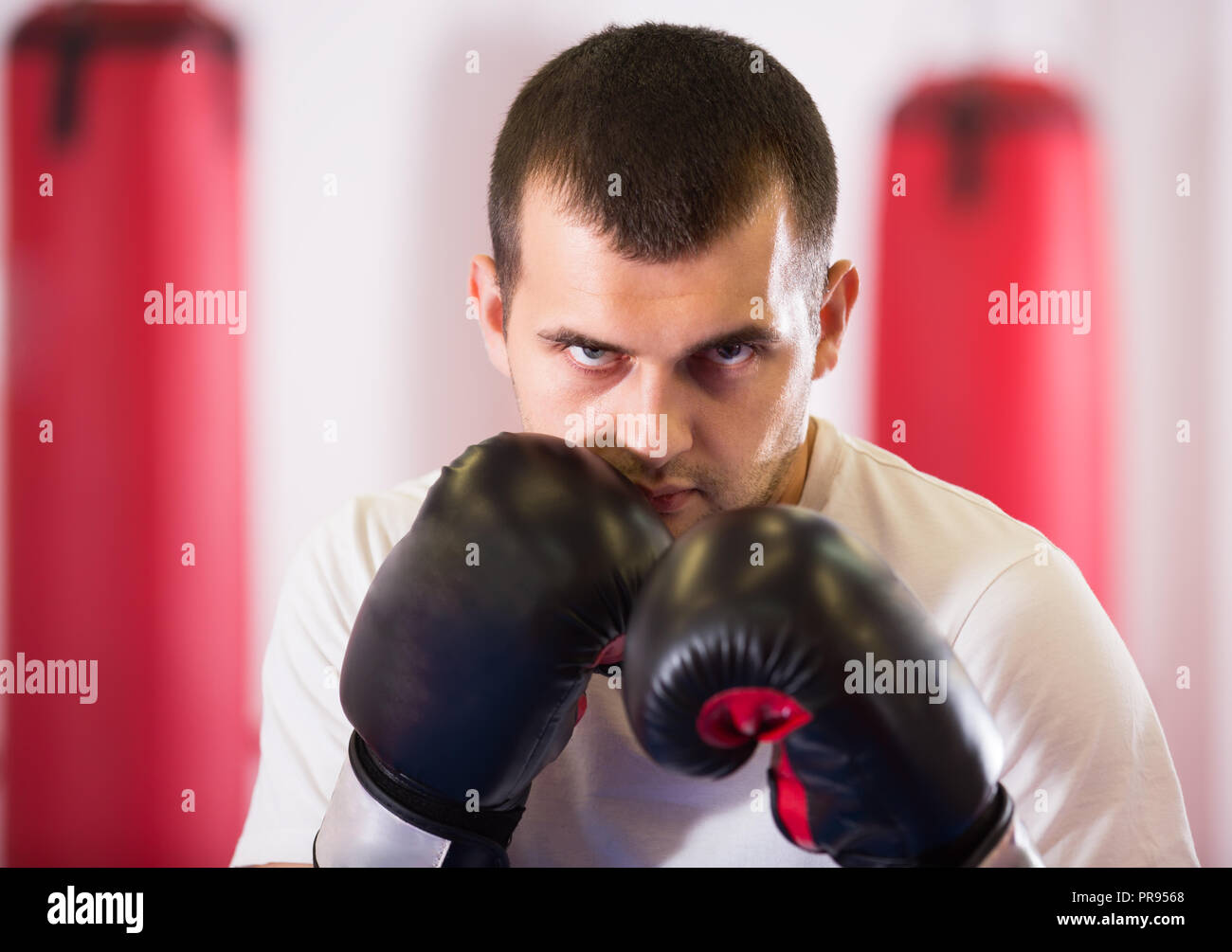Boxing Practicing Images young sportsman in the boxing hall practicing boxing punches during ...