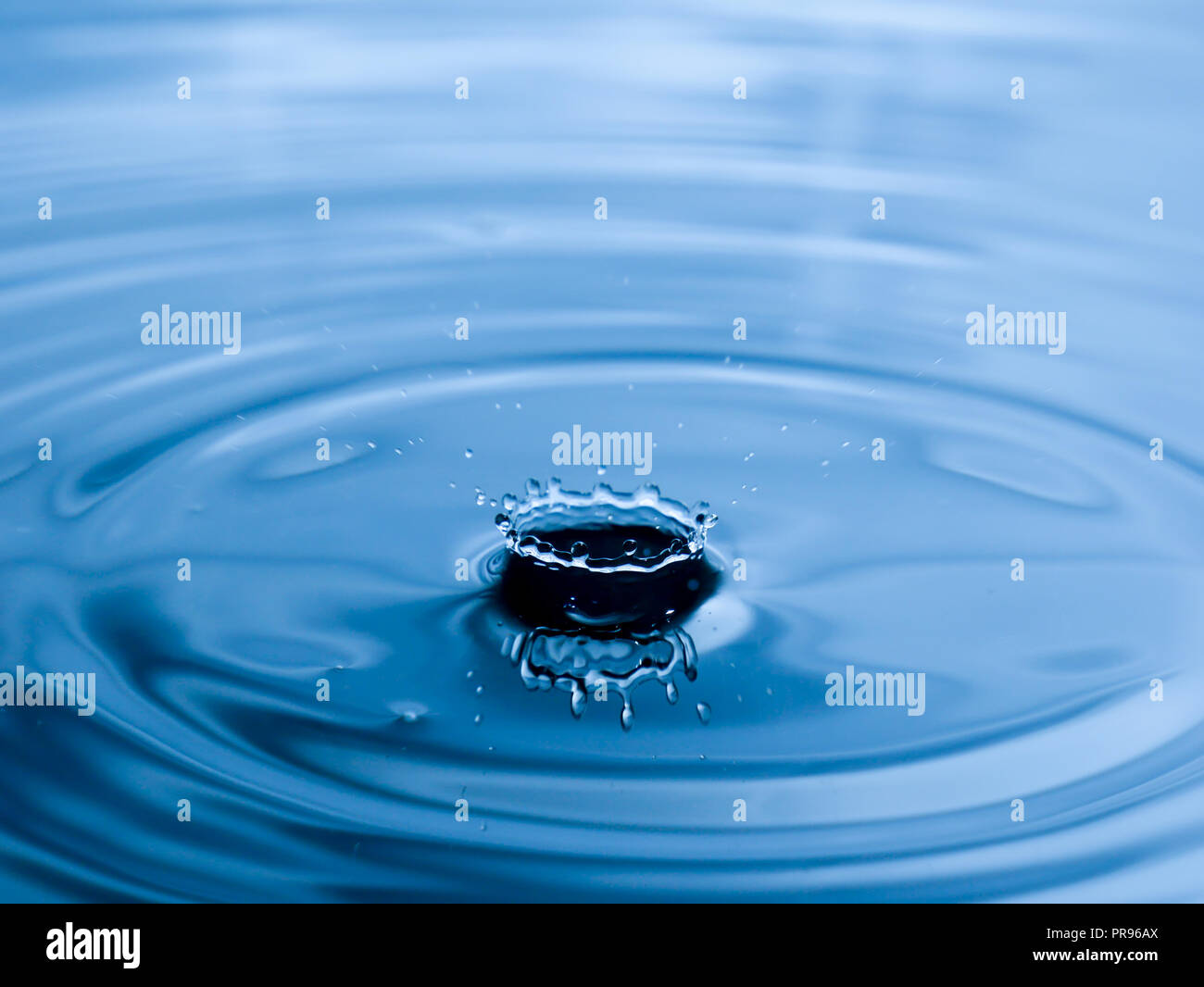 close up drop of water on blue background Stock Photo - Alamy