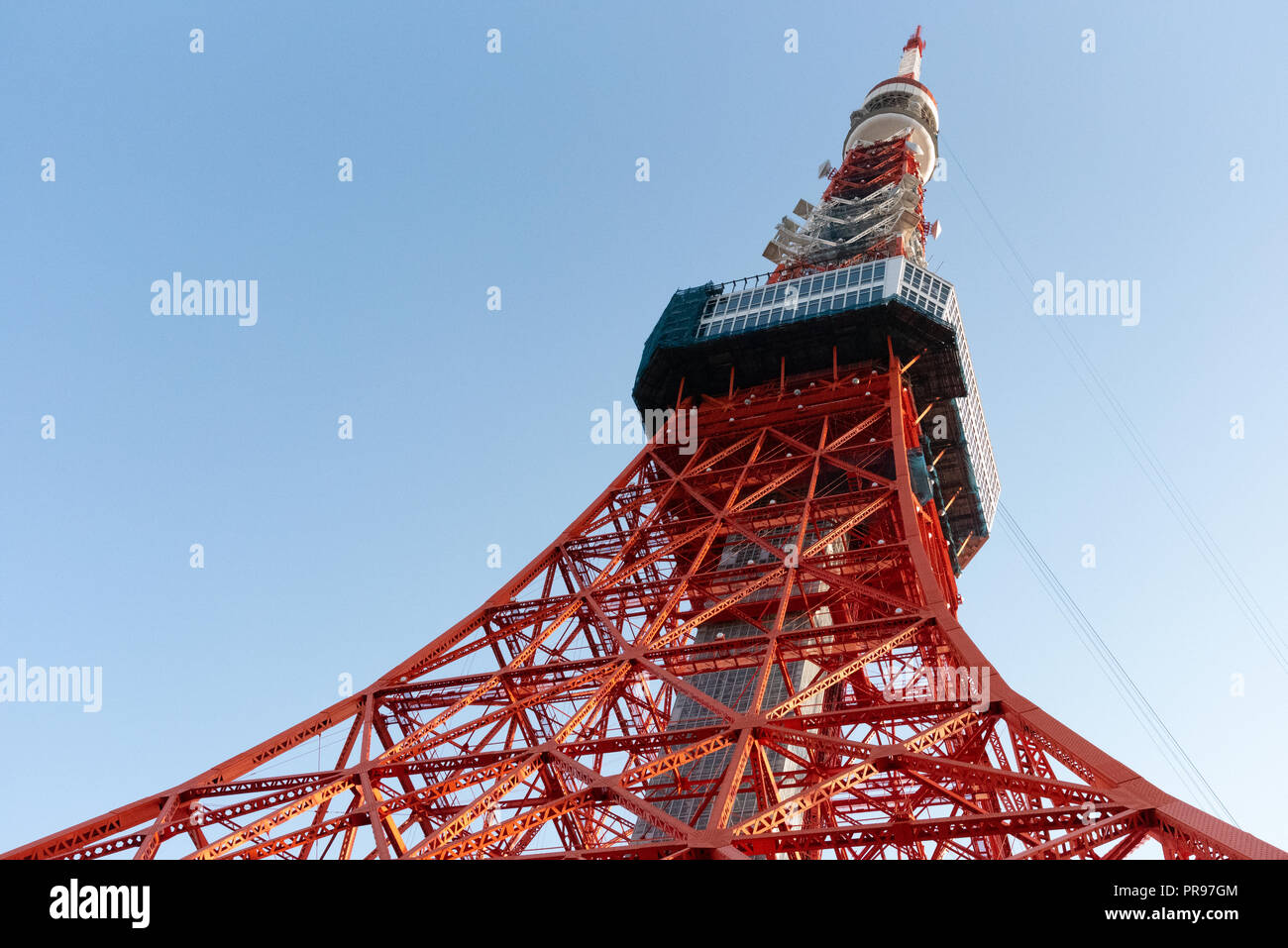 Tokyo tower and Sakura Cherry blossom in spring season at Tokyo, Japan ...