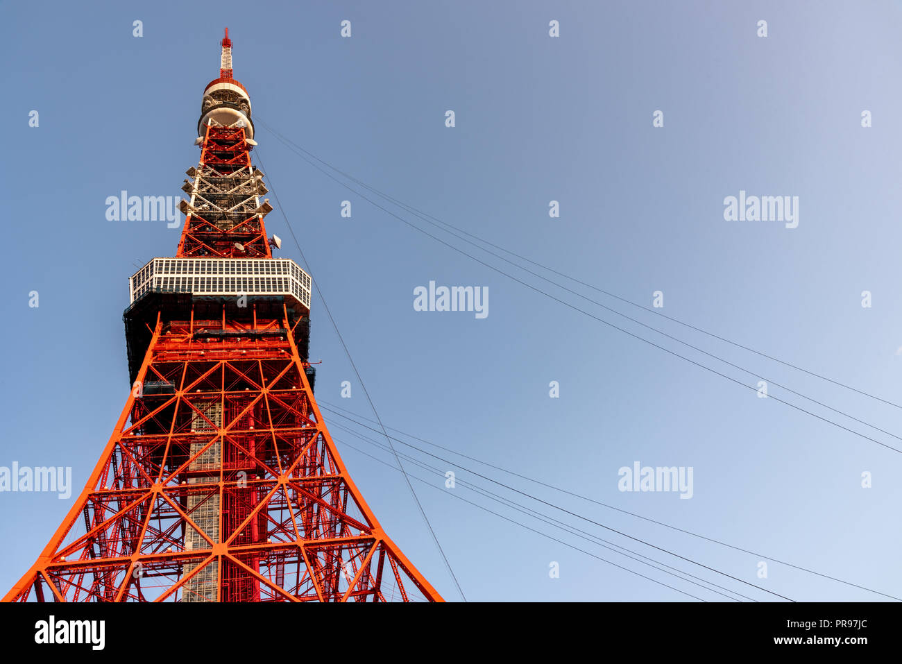 Tokyo tower and Sakura Cherry blossom in spring season at Tokyo, Japan ...