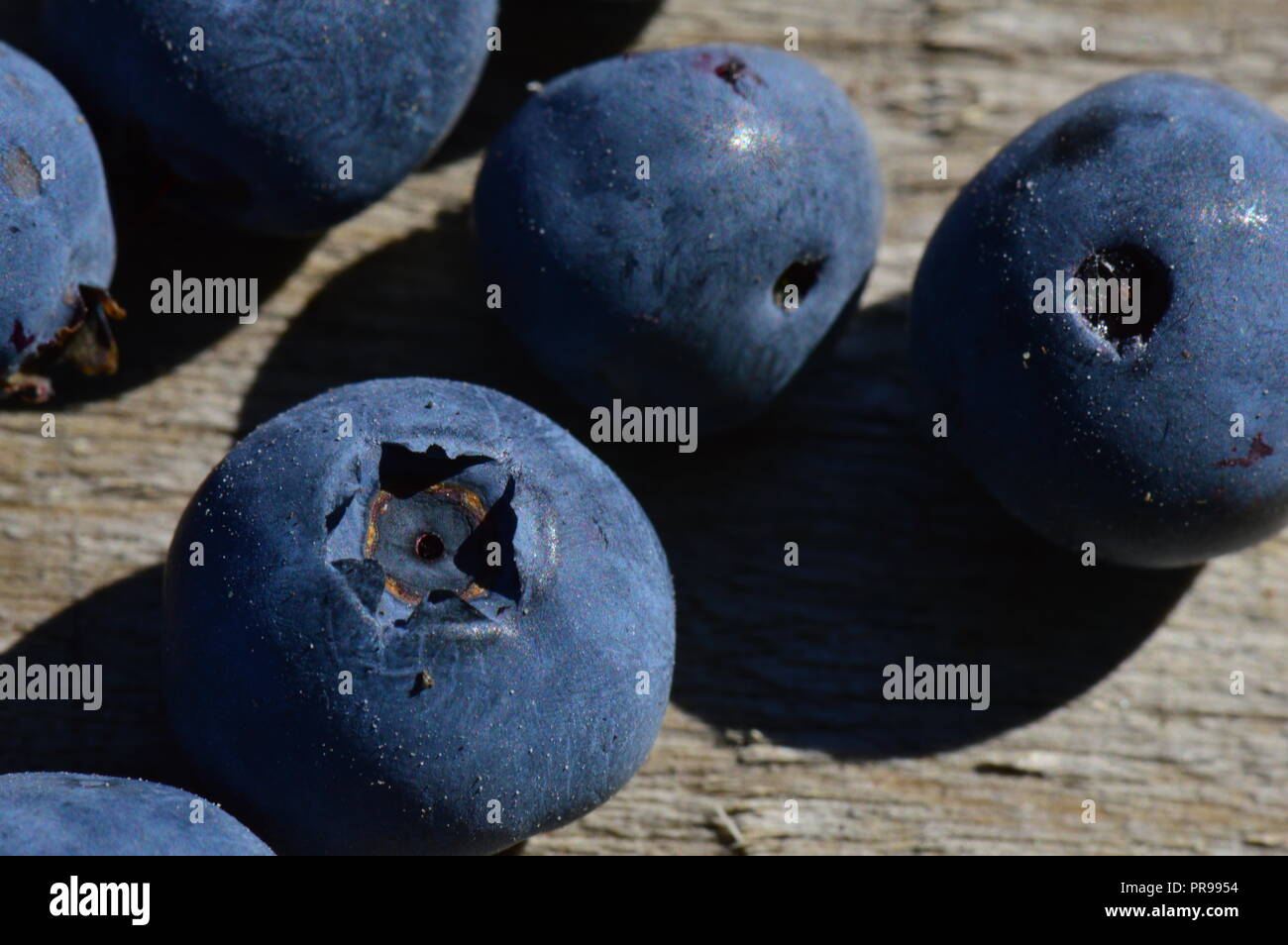 Blueberry summer harvest ripe berries Stock Photo