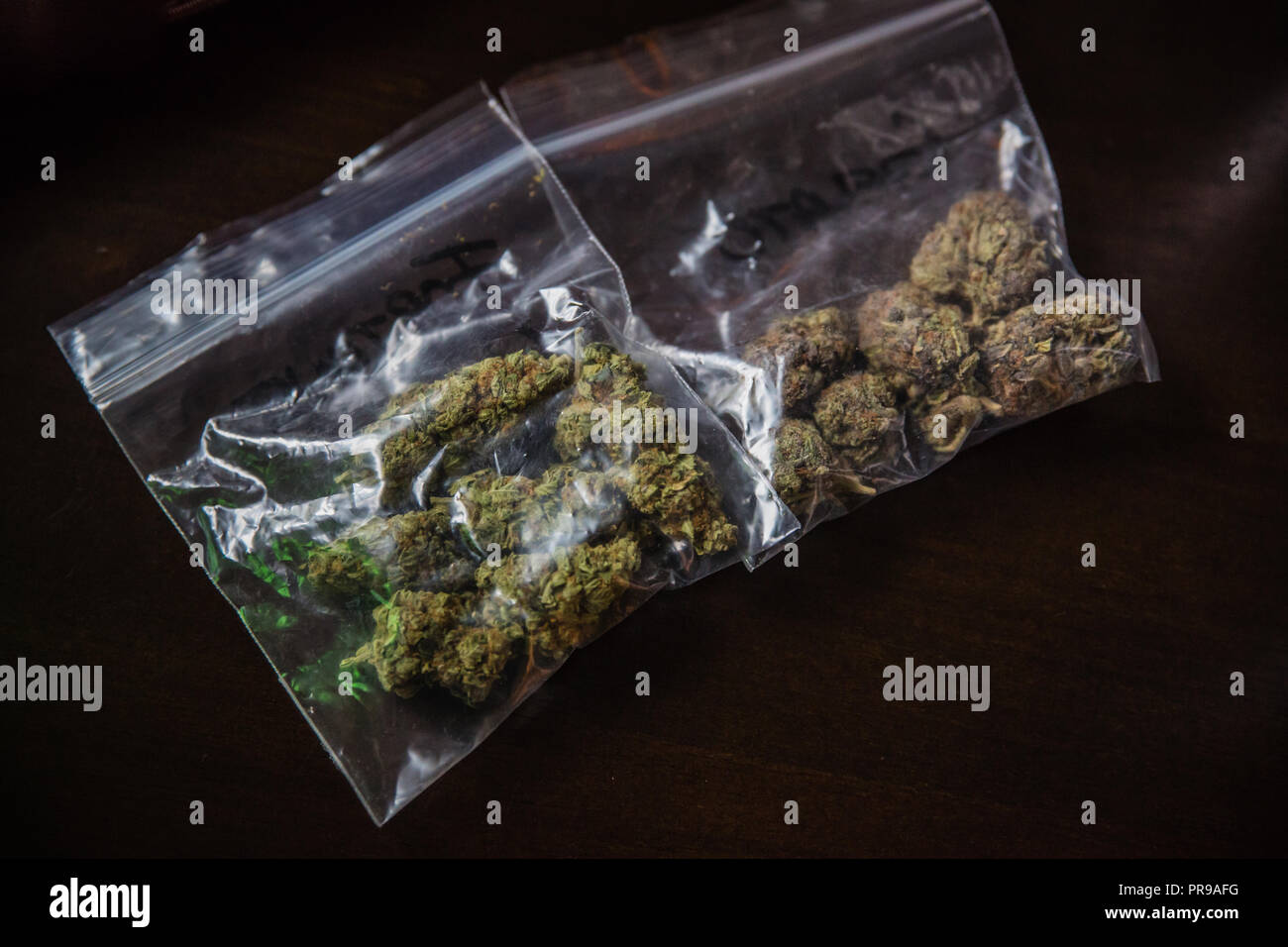 hemp guitar bolsa