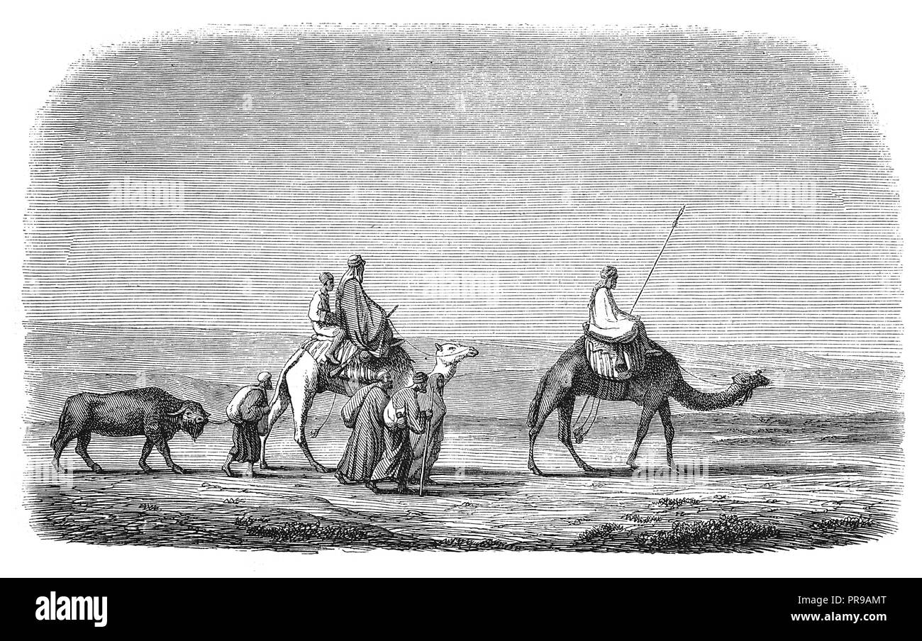 19th century illustration of caravan in the desert. After drawing by de Marilhat, exhibited in 1844. Original artwork published in Le magasin Pittores Stock Photo
